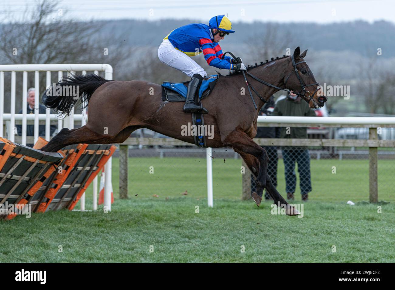 Wincanton Rennen 19. Februar 2022 - Rennen 5 Stockfoto