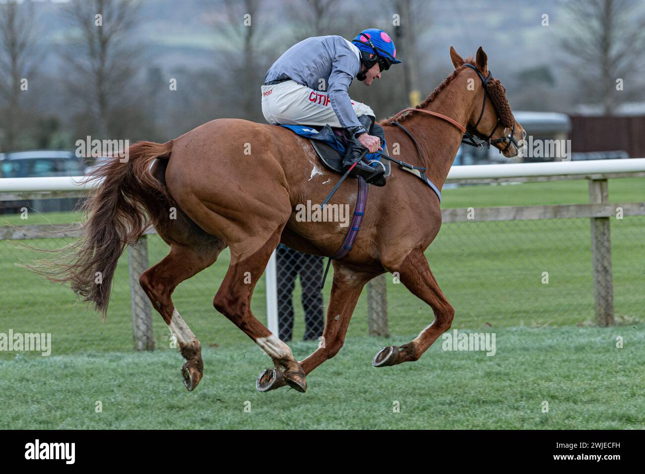 Wincanton Rennen 19. Februar 2022 - Rennen 5 Stockfoto