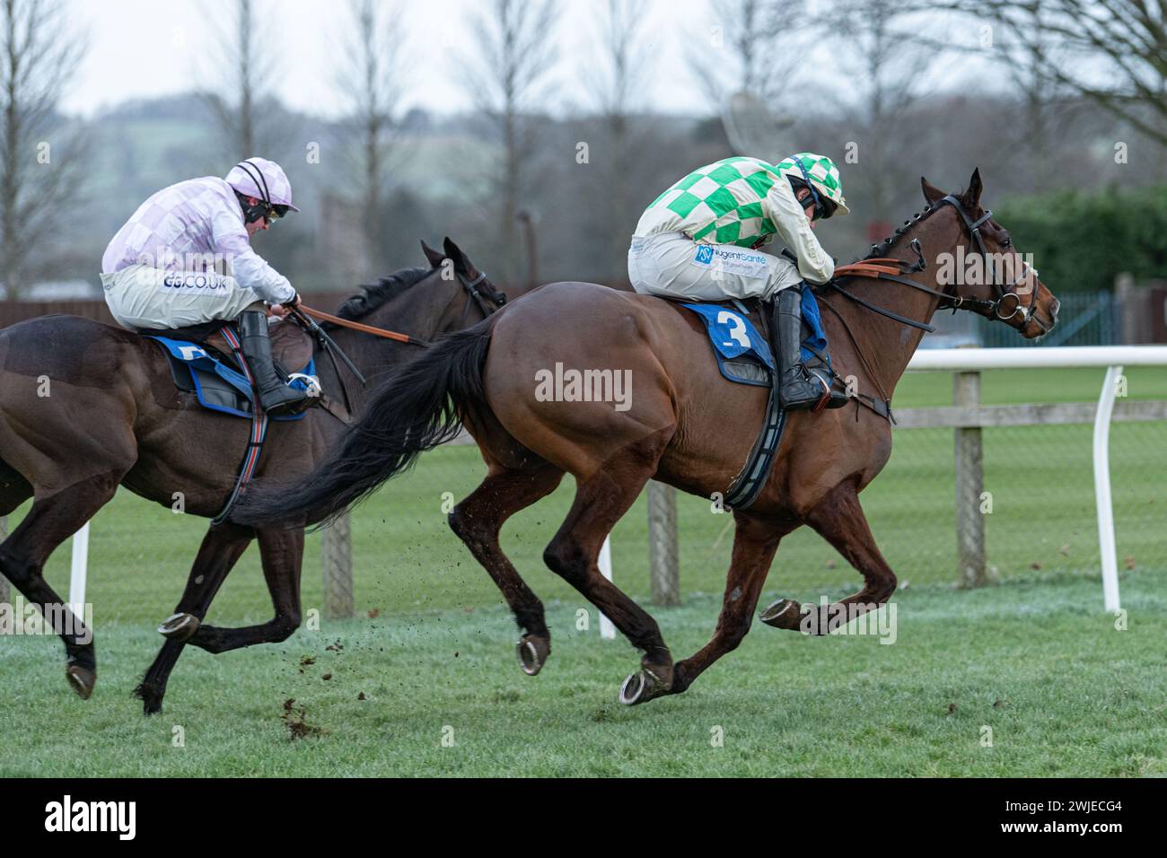 Wincanton Rennen 19. Februar 2022 - Rennen 5 Stockfoto