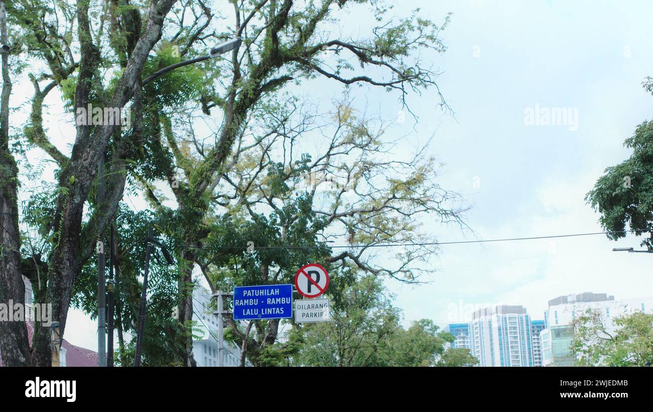 Im Herzen der Stadt Medan steht ein majestätischer Baum, ein Symbol der Ruhe inmitten der belebten Stadtlandschaft, der Passanten Schatten und Trost bietet Stockfoto