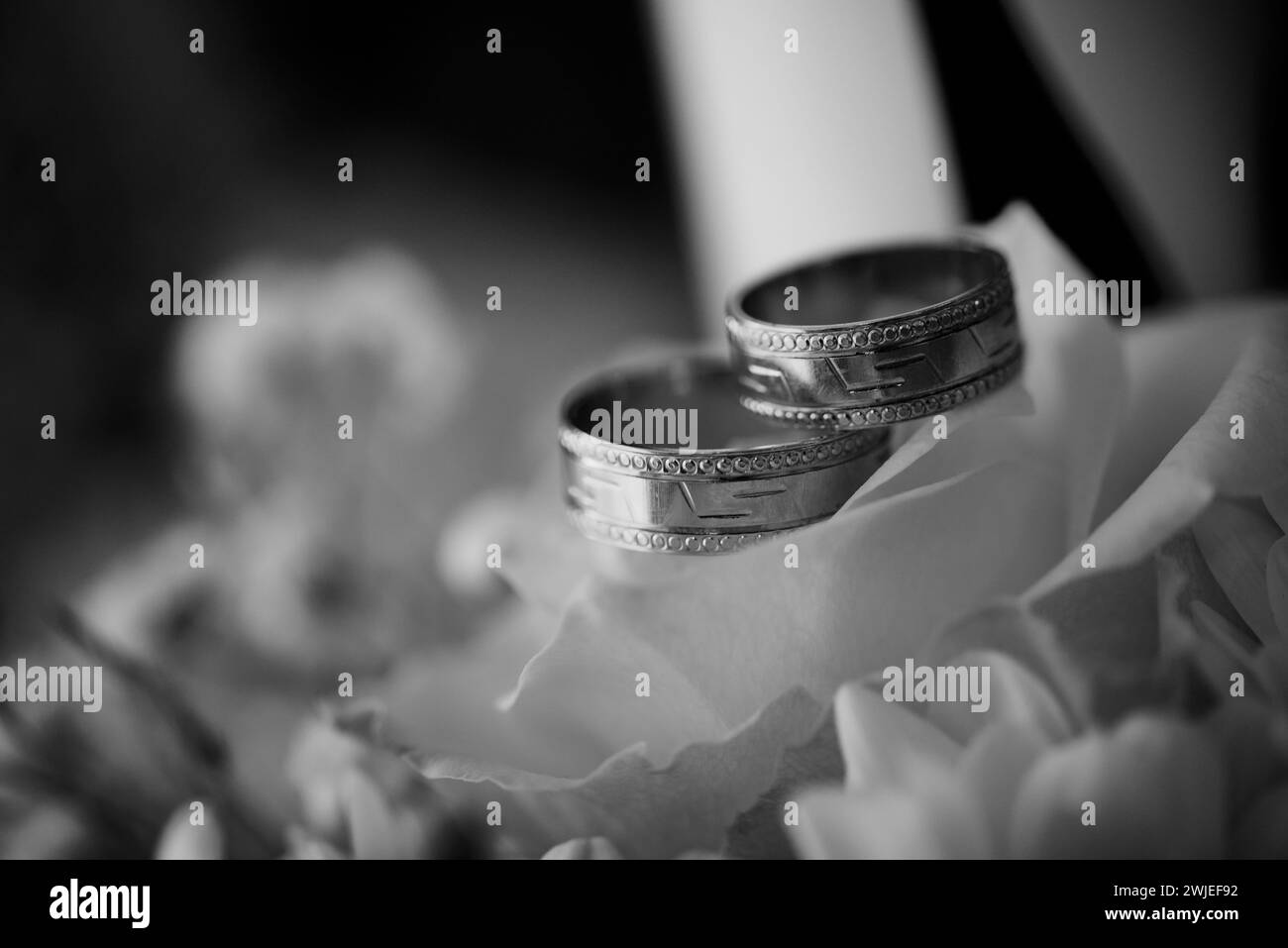 Eine Graustufe von Eheringen, die anmutig auf einer zarten Blume platziert werden Stockfoto