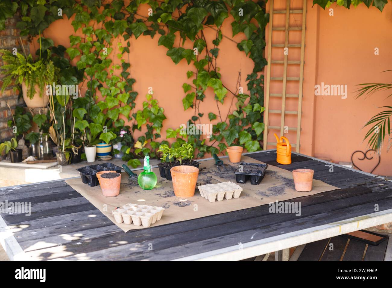 Gartenwerkzeuge und Pflanzen stehen auf einem Tisch im Freien bereit Stockfoto