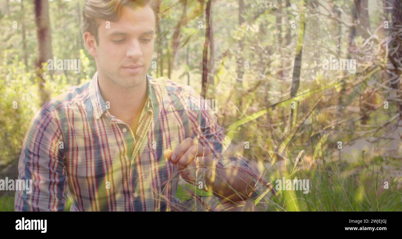 Mann hockt, um Gras im Wald zu untersuchen Stockfoto