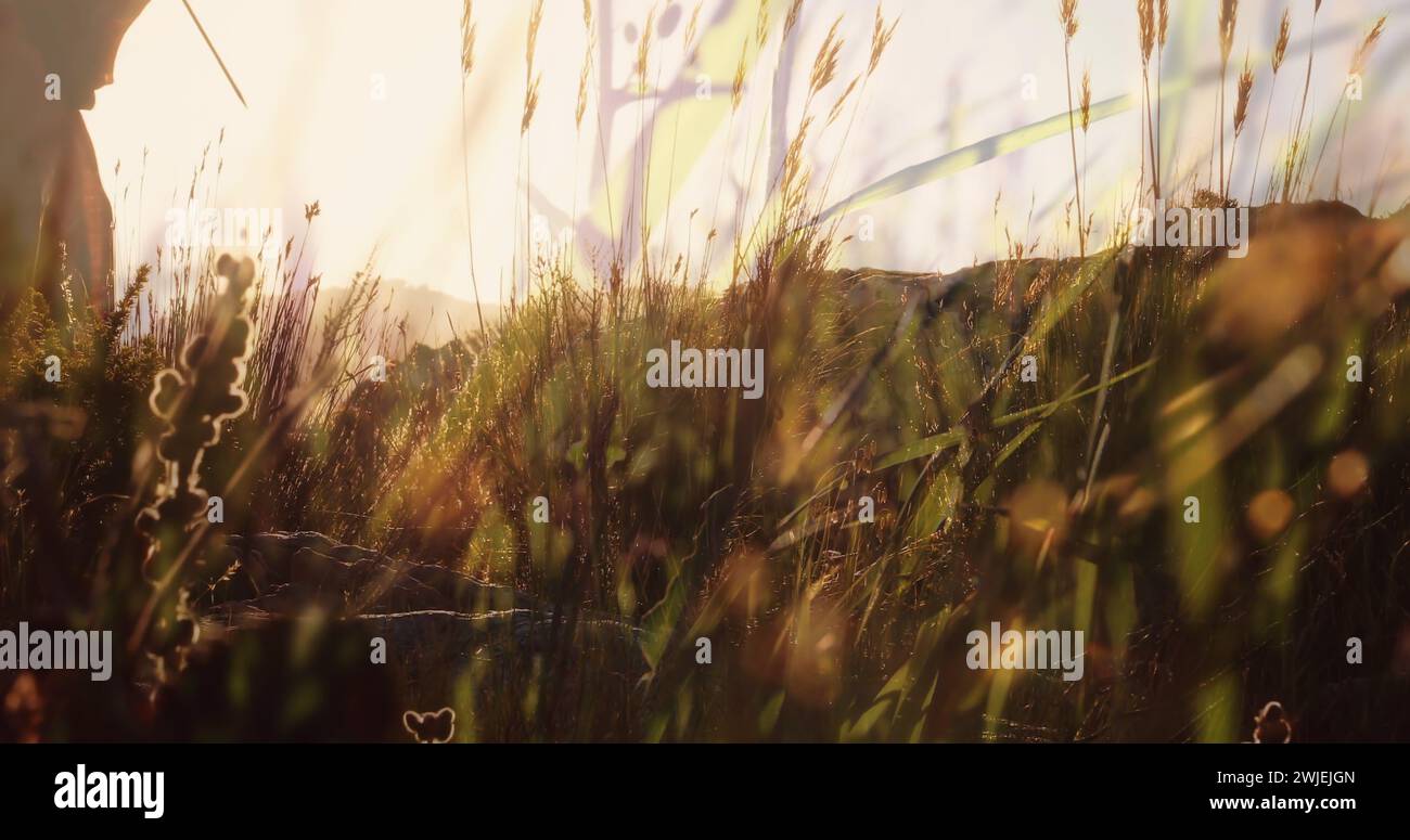 Frau, die in den Bergen wandert, in traditioneller Kleidung Stockfoto