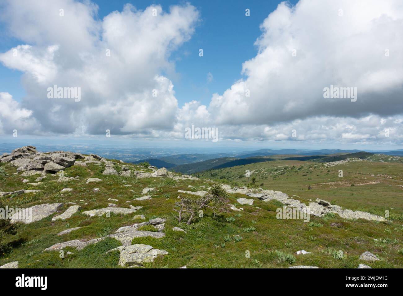 Gebirgszug „Monts du Forez“ (Südmittelfrankreich): Überblick von Pierre-sur-Haute. Landschaft des Naturgebietes „Hautes Chaumes“ im Sommer Stockfoto