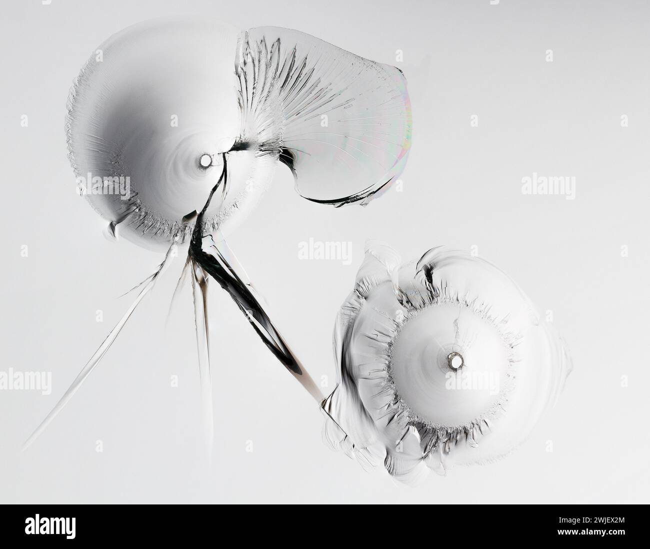 Glasrisse auf weißem Hintergrund. Nahaufnahme eines gebrochenen Fensters mit Rissen. Seitenansicht. Makro Stockfoto