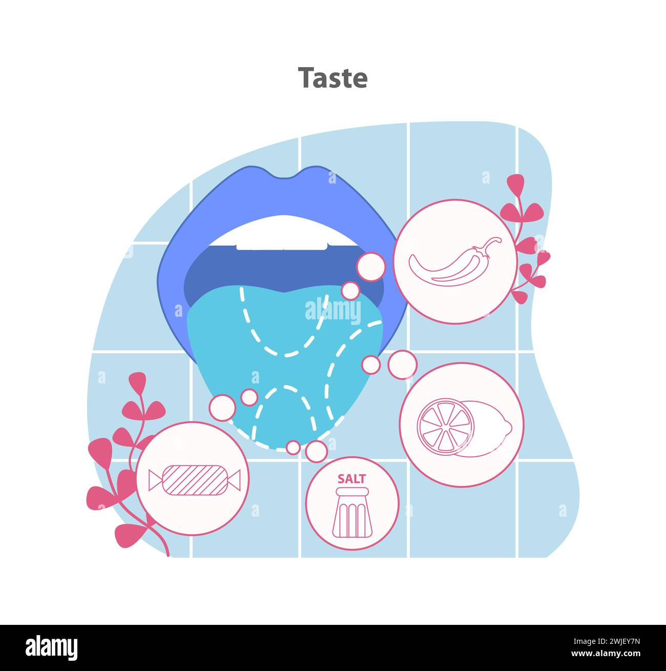 Geschmacksdarstellung. Eine Darstellung des Geschmackssystems mit Symbolen für süße, saure, salzige und bittere Aromen. Die Komplexität der Geschmackswahrnehmung. Illustration des flachen Vektors. Stock Vektor