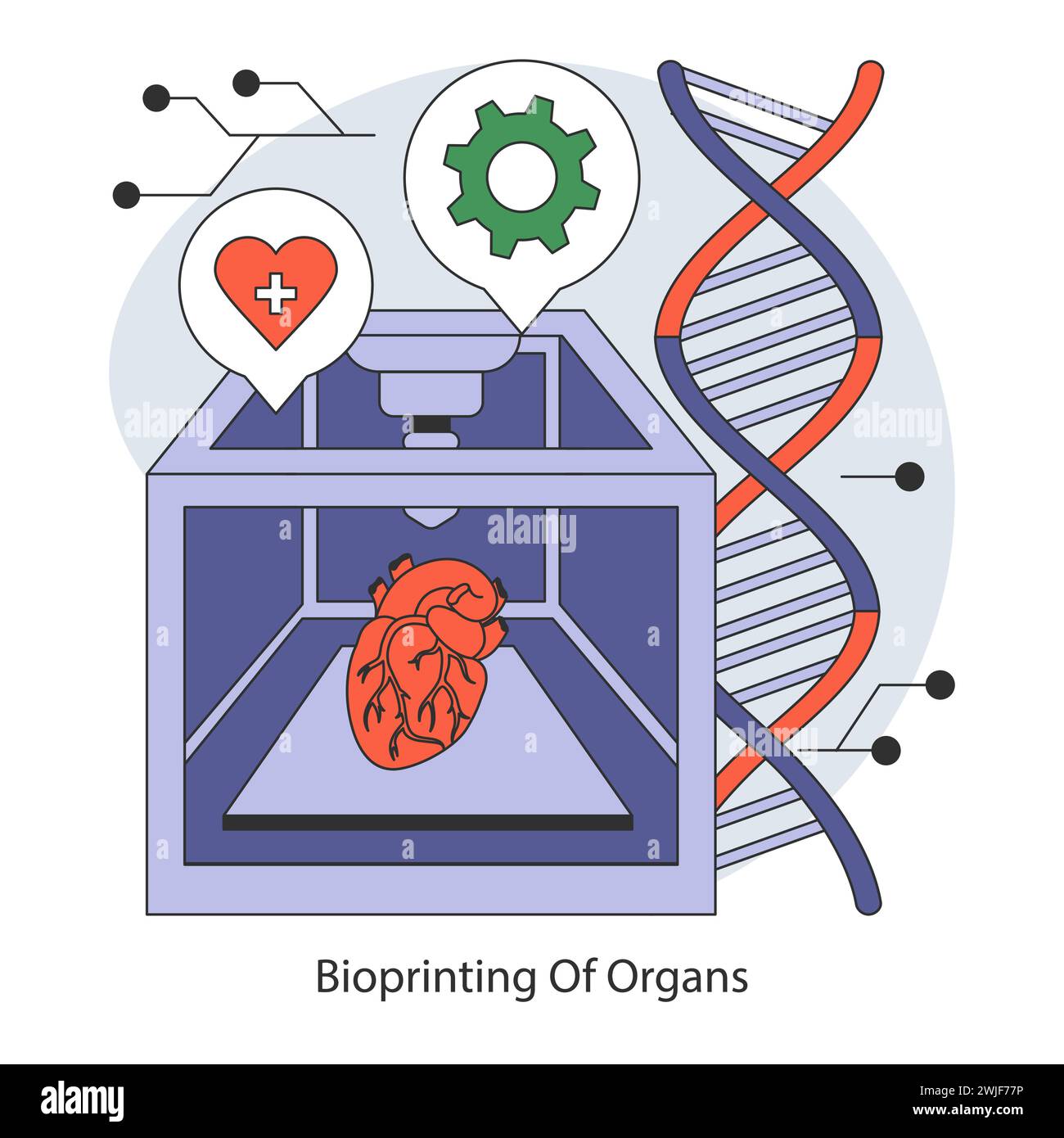 Biomedizinische Ingenieurkonzepte. Das Bioprinting von Organen revolutioniert Transplantationen mit Präzision und Anpassung. Zukunft der Regenerativen Medizin. Illustration des flachen Vektors. Stock Vektor
