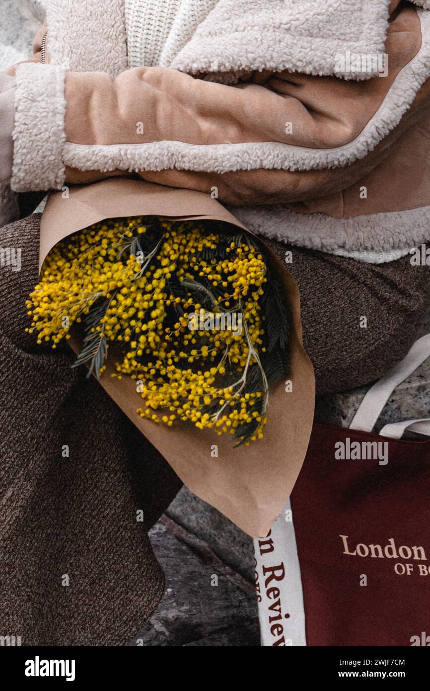 Modische Details aus beigefarbener warmer Jacke, braunem Rock und einem Blumenstrauß frischer Mimosa. Stylischer Winter-Look Stockfoto