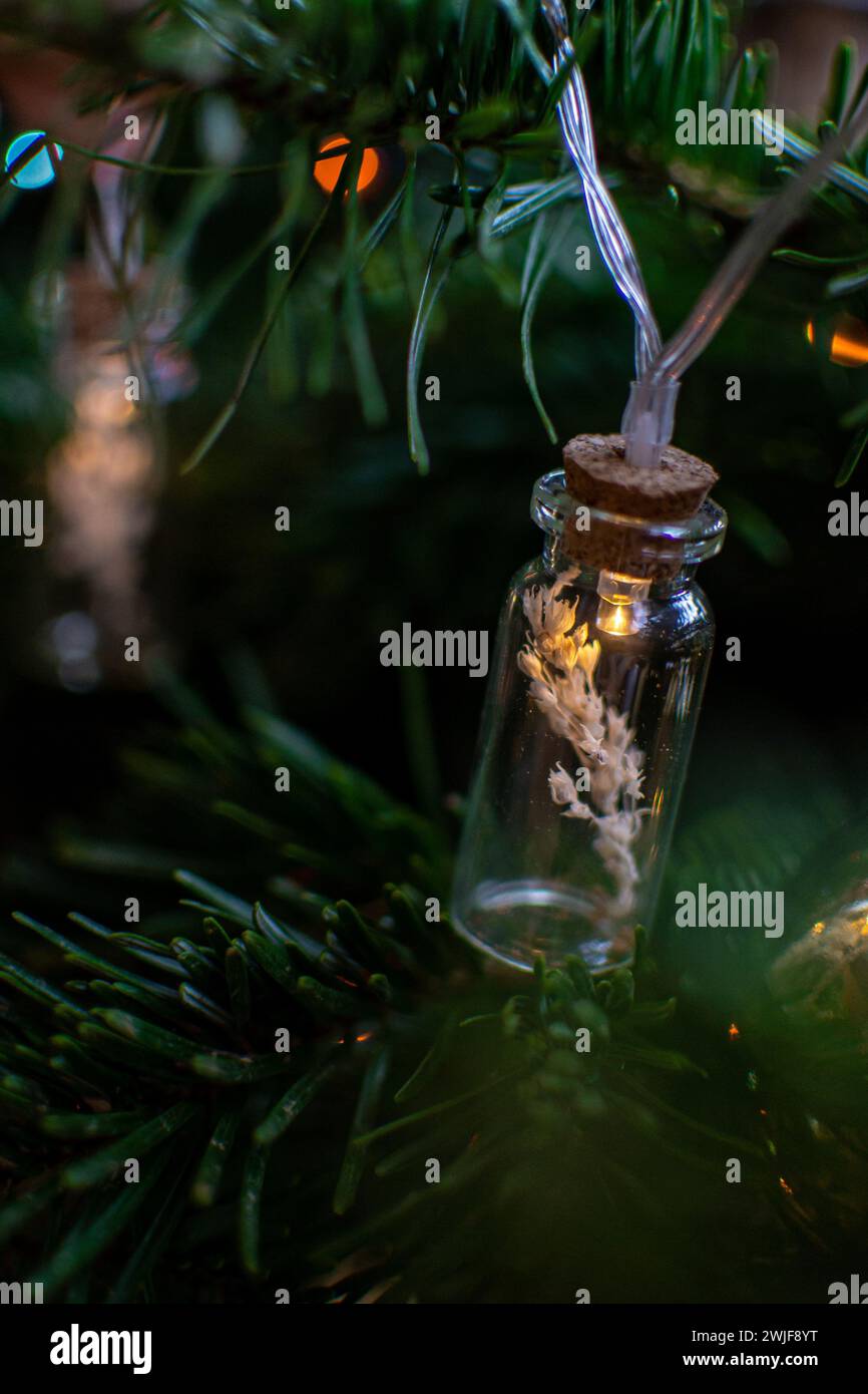 Leuchtende Glasgirlande gefüllt mit trockenen Zweigen auf einem Fichtenzweig Stockfoto