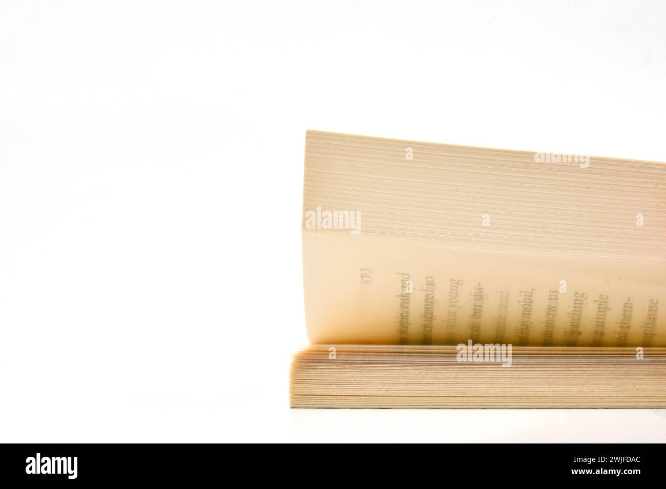 Seiten eines Buches, die sich vor einem weißen Hintergrund des Plans drehen. Kopierbereich. Stockfoto