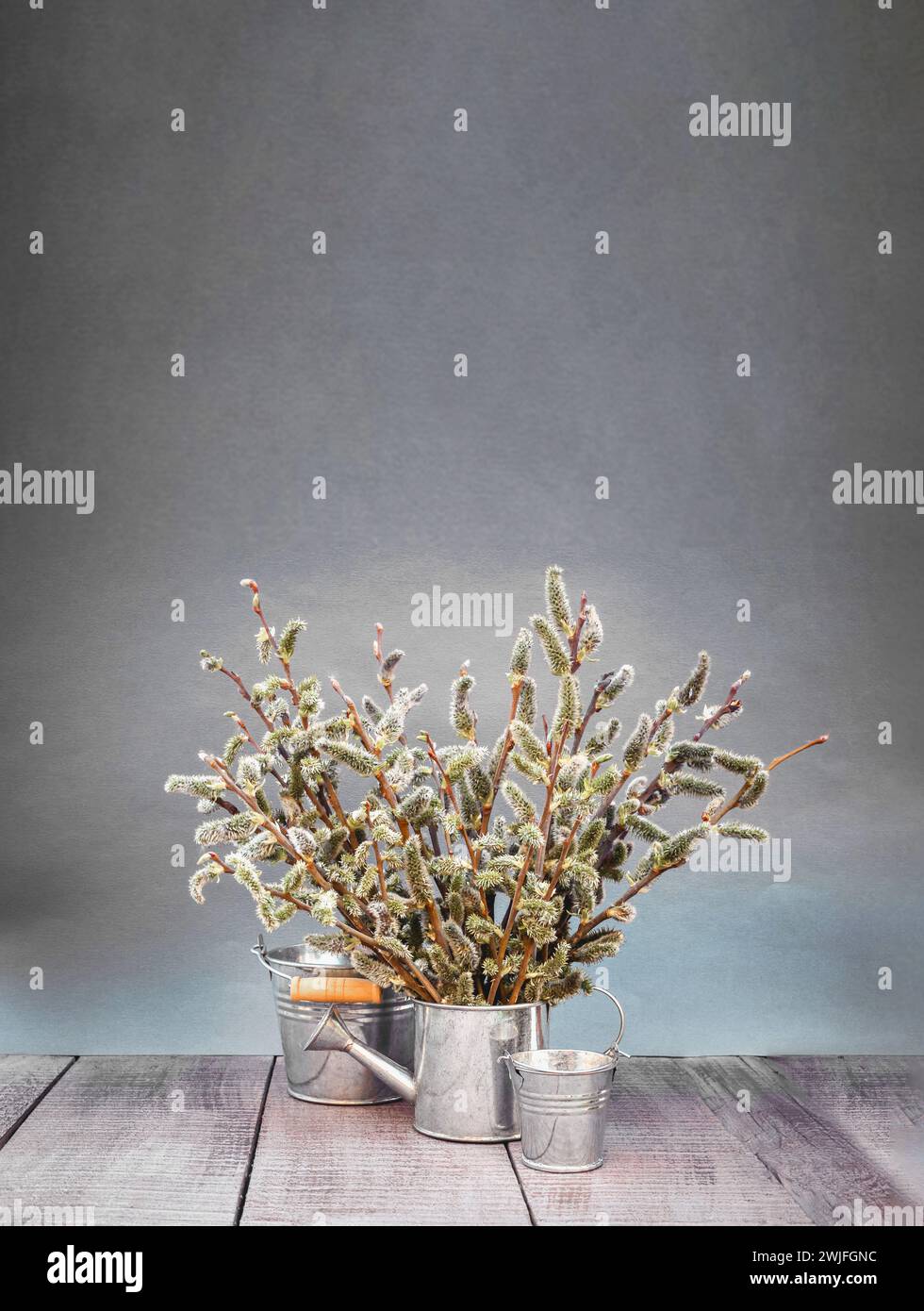 Die Blütezeit von Bäumen und Gräsern kann Allergien auslösen. Feder. Sonniger Tag. Gartenarbeit. Allergie. Pollen. Grünes natürliches Banner. Frühlingswiese und Stockfoto