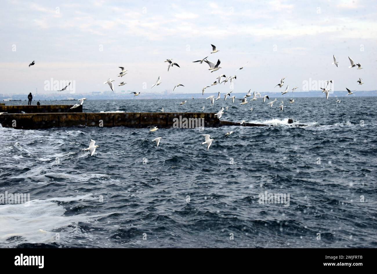 Riesige Wellen toben im Meer und Möwen im Nebel der Wellen. Schwarzes Meer. Odessa. Stockfoto