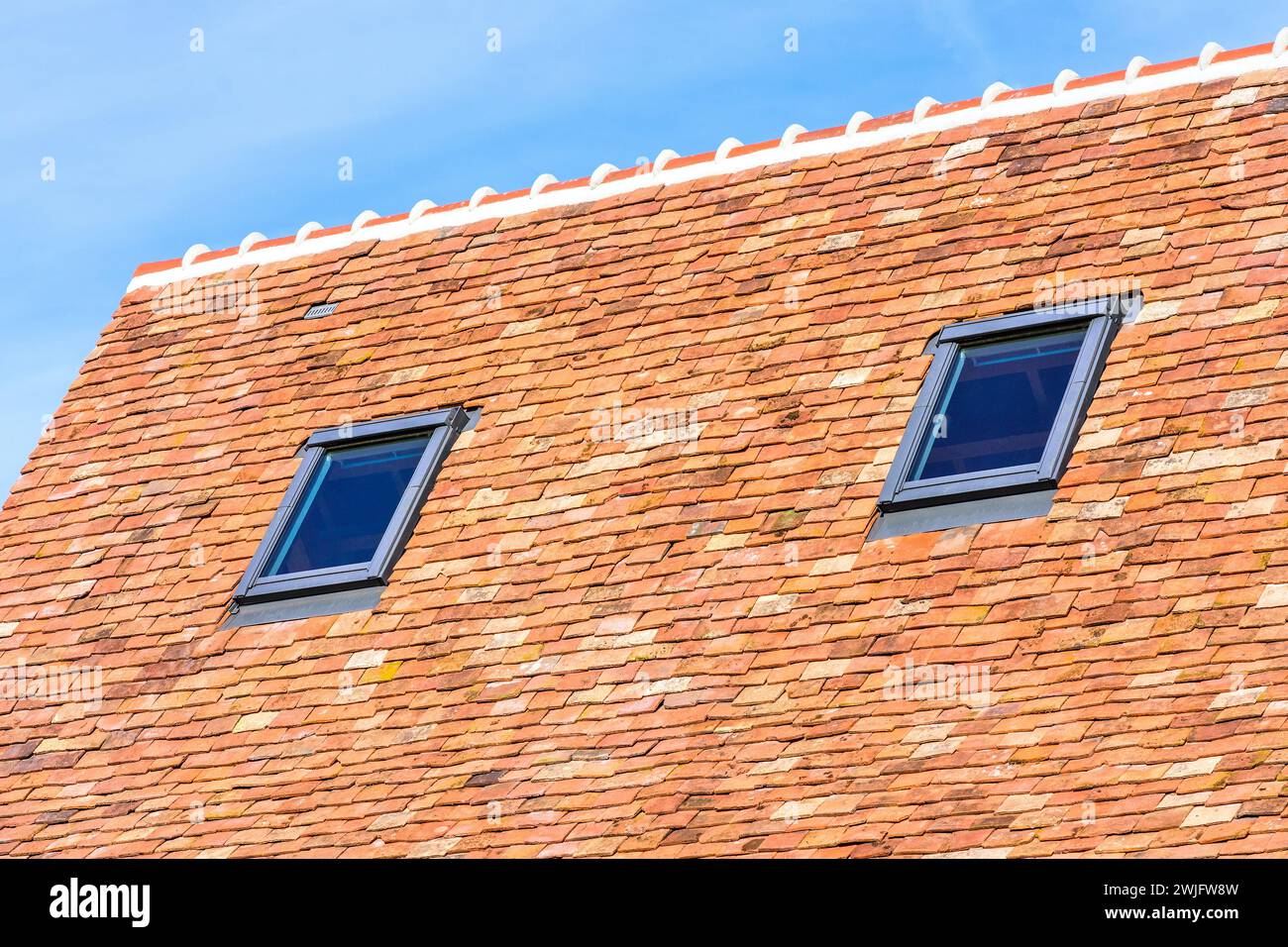 Neue Dachkonstruktion mit Terrakottafliesen und Velux-Fenstern - Preuilly-sur-Claise, Indre-et-Loire (37), Frankreich. Stockfoto