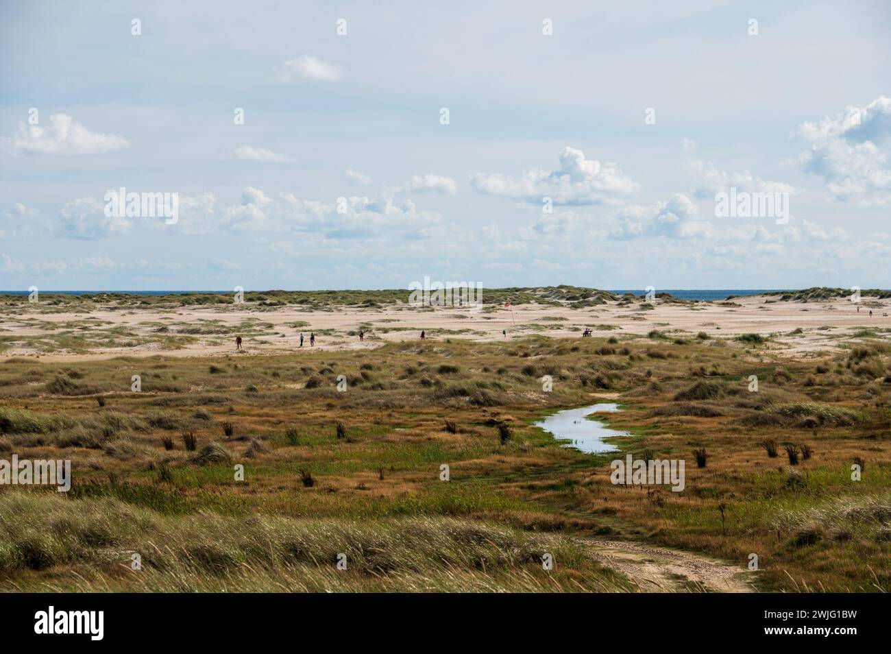 Dünenlandschaft mit Wanderern auf der Nordseeinsel Amrum in Nordfriesland Stockfoto