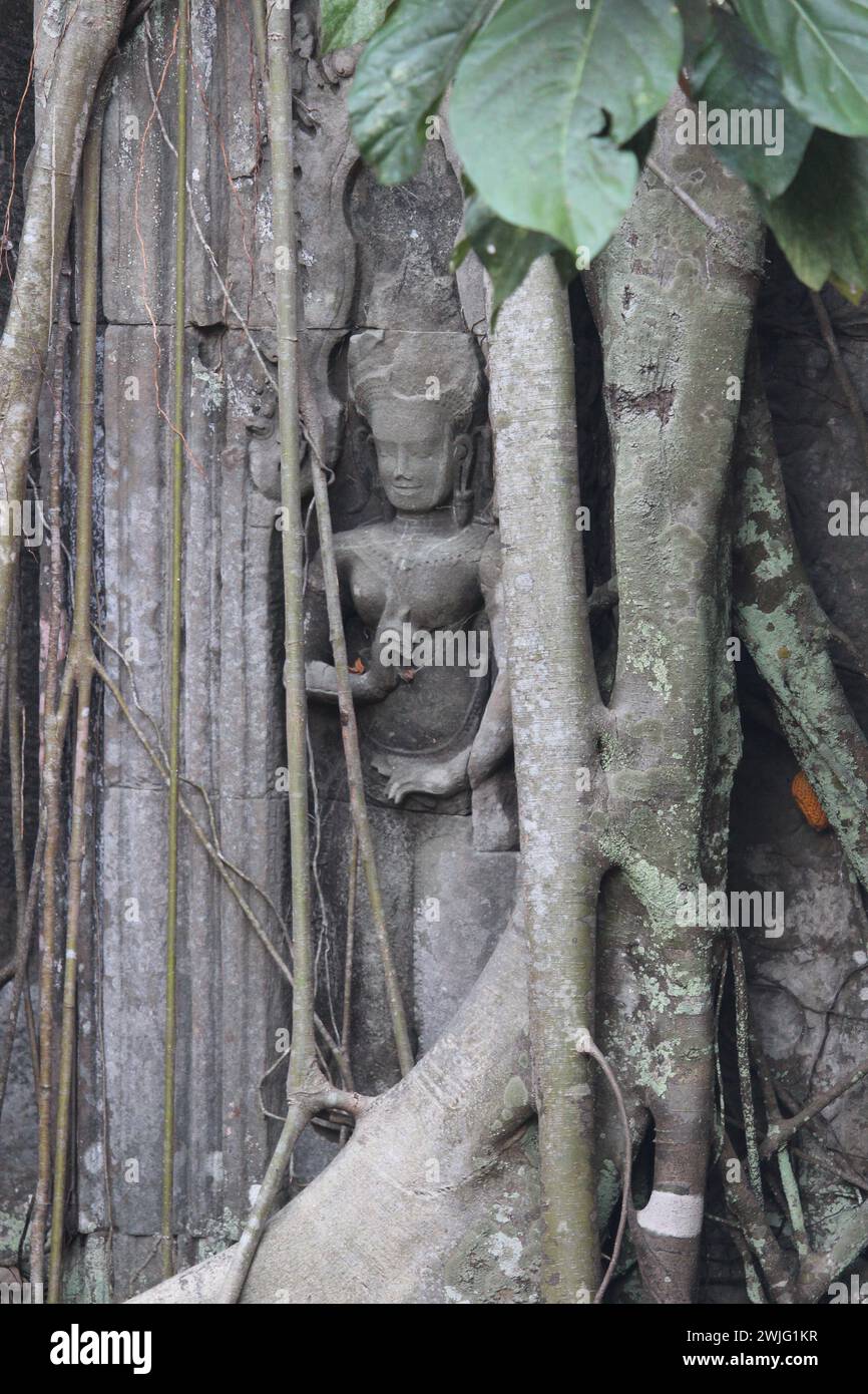 Statue unter einem Baum im Ta Prohm Tempel im Angkor Komplex bei Siem Reap Stockfoto