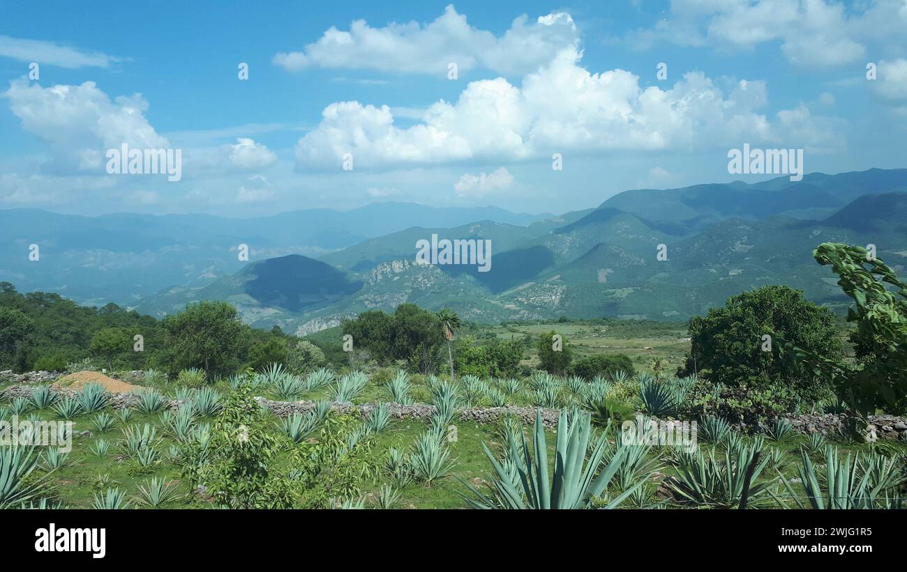Blick auf die Landschaft in der Nähe von Oaxaca Stockfoto
