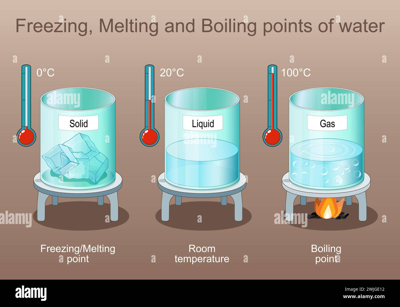 Gefrierpunkt, Schmelz- und Siedepunkt von Wasser. Zustand der Materie. Dampf ist Gas nach dem Kochen, flüssig und fest ist Eis. Poster für Grundschulbildung Stock Vektor