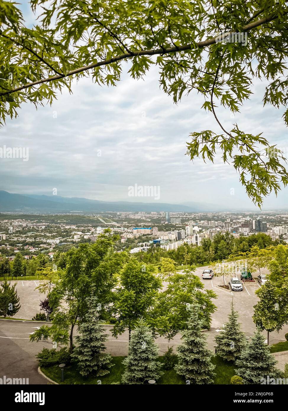 Stadtlandschaft mit grünen Bäumen im Vordergrund, Kontrast zur lebhaften urbanen Kulisse. Harmonie zwischen Natur und Stadtleben, ideal für kreative Projekte. Stockfoto