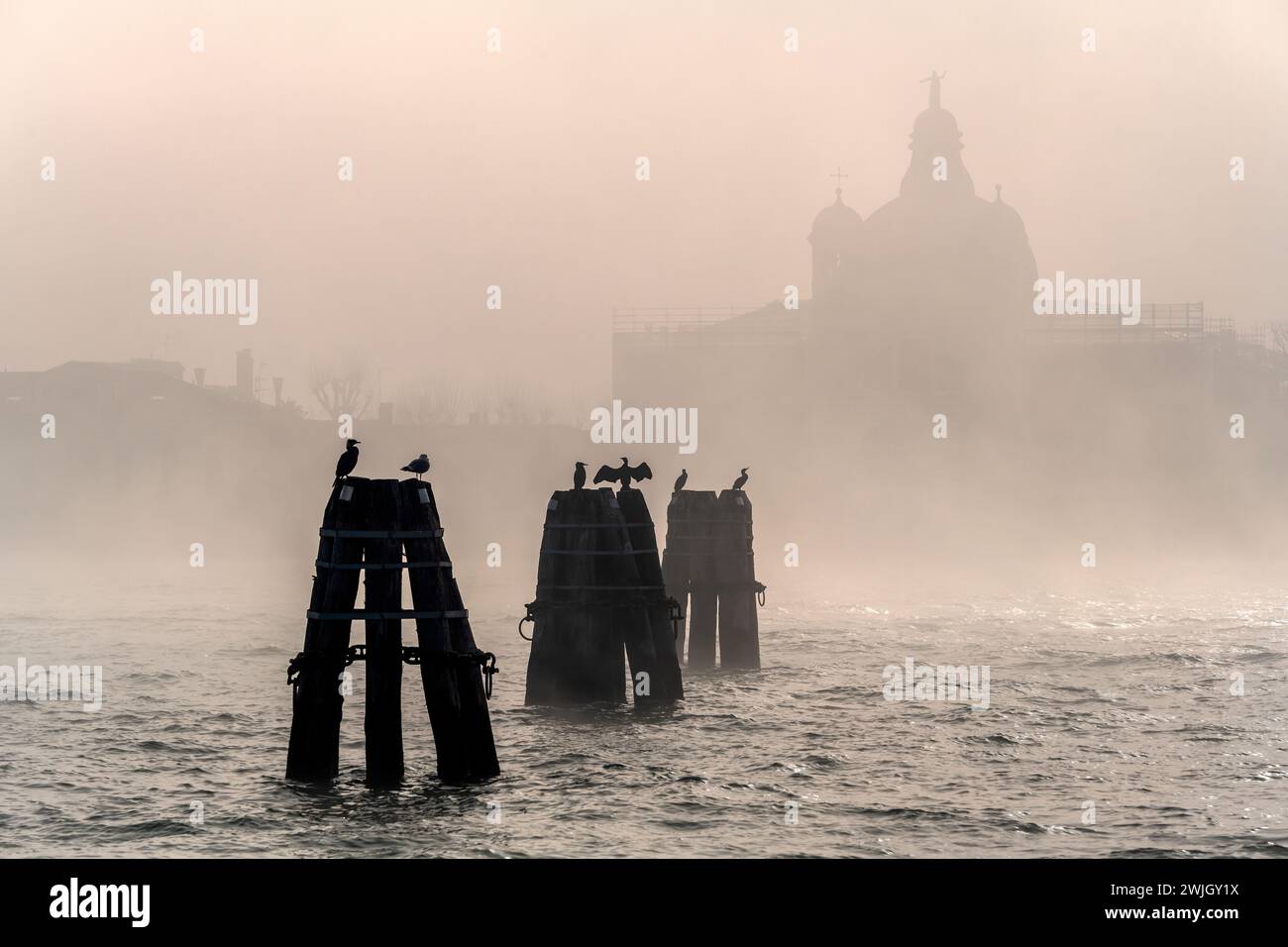 Giudecca-Kanal an einem nebeligen Tag, Venedig, Venetien, Italien Stockfoto
