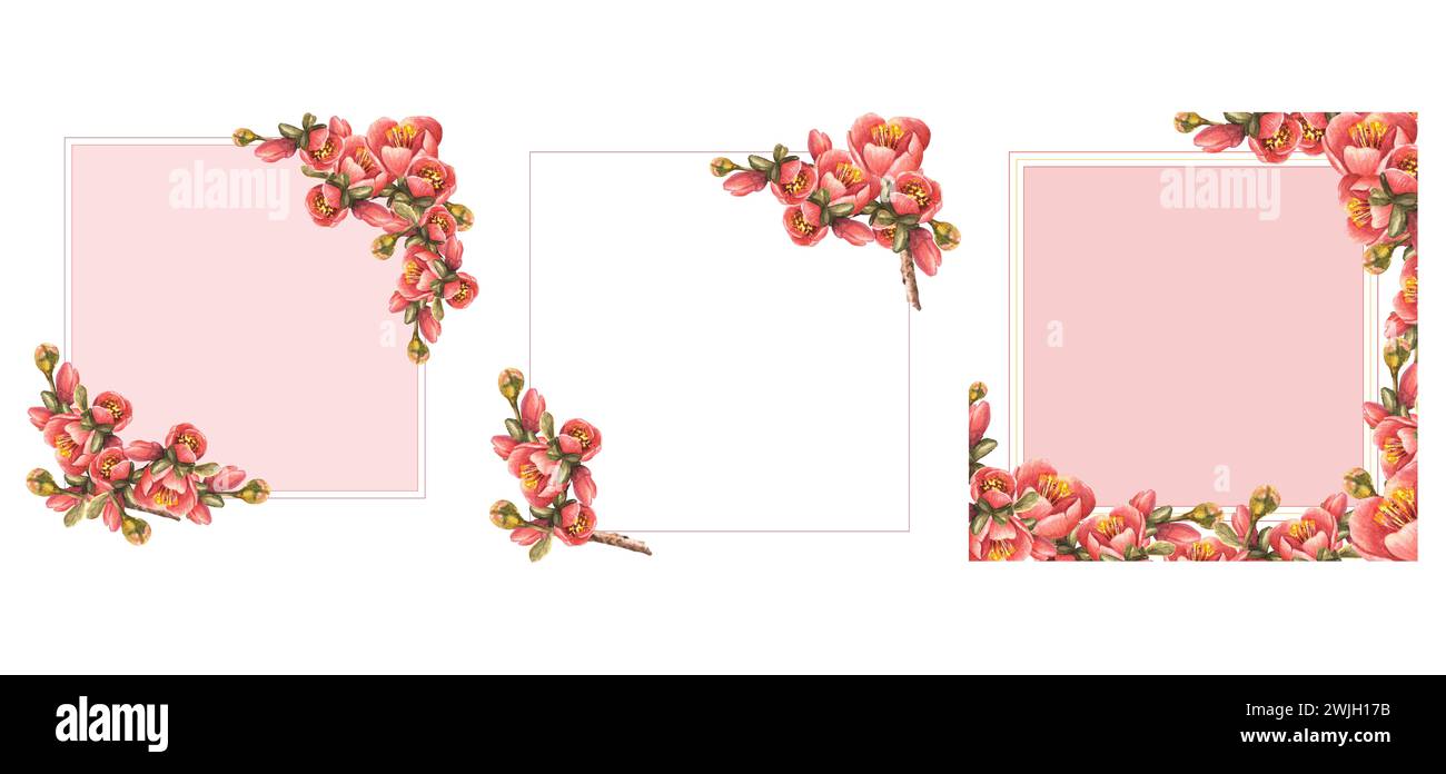 Kartenset mit Aquarellmalerei. Frühlingsblumen, Knospen, Blätter der Quitte, Apfel Japanischer Birnenzweig des blühenden Baumes Vorlage Illustration Stockfoto