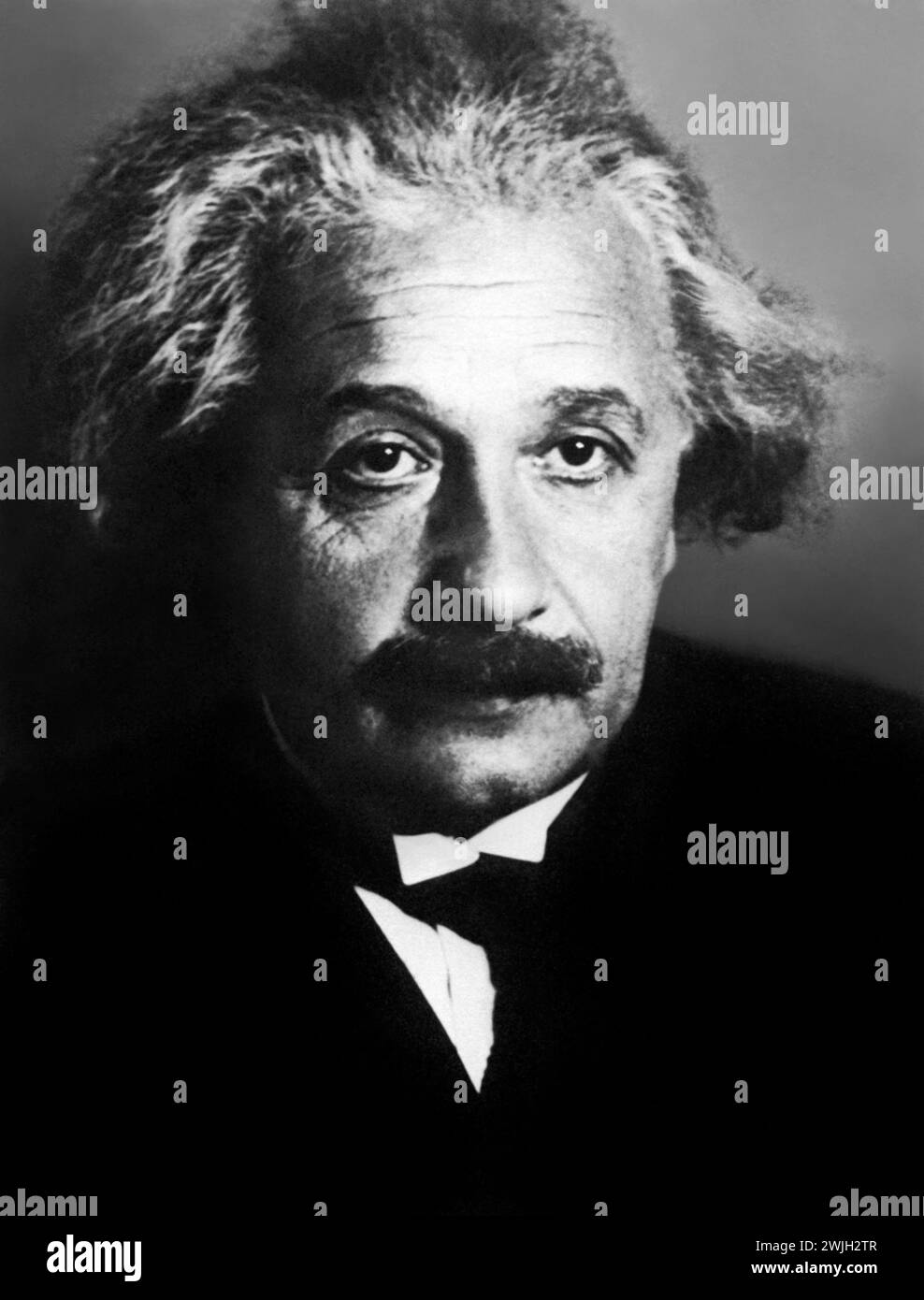 Porträt von Professor Albert Einstein (1879-1955) 1931. Stockfoto