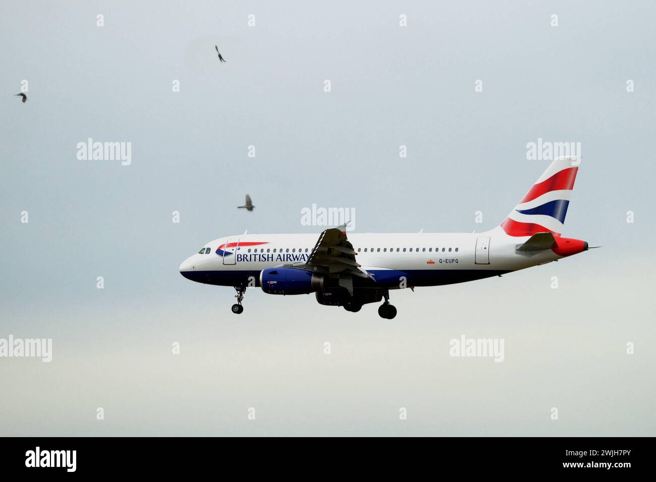 Der British Airways Airbus A319-131 in der Royal Mail-Lackierung landet am Flughafen Kloten – die A319-131 ist ein kurz- bis Mittelstreckenflugzeug von Airbus. British Airways ist die nationale Fluggesellschaft des Vereinigten Königreichs. Royal Mail ist der Postdienst des Vereinigten Königreichs. Copyright: XSergioxBrunettix Stockfoto