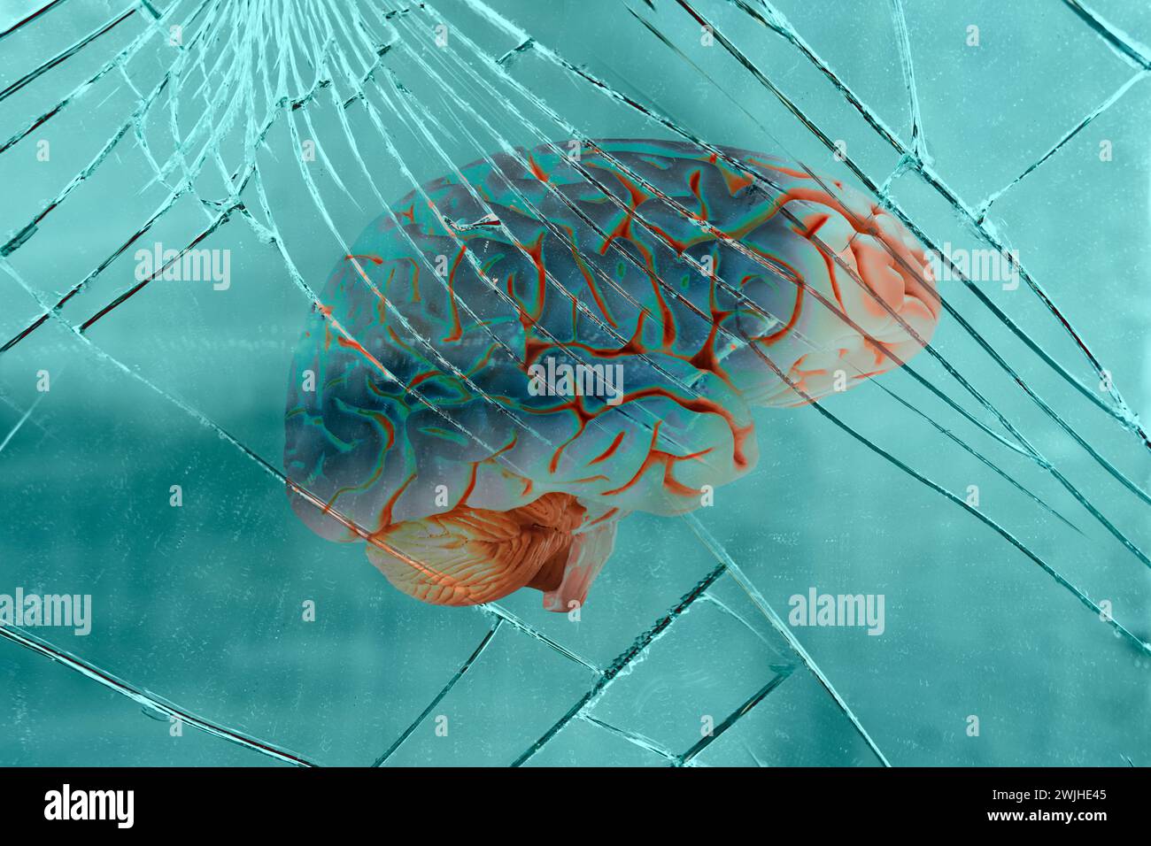 Menschliches Gehirn auf Rissstruktur gebrochener Spiegel, Glashintergrund, traumatische Hirnverletzung und Schlaganfall auf kognitive Fähigkeiten und Bedeutung von Rehabilitati Stockfoto