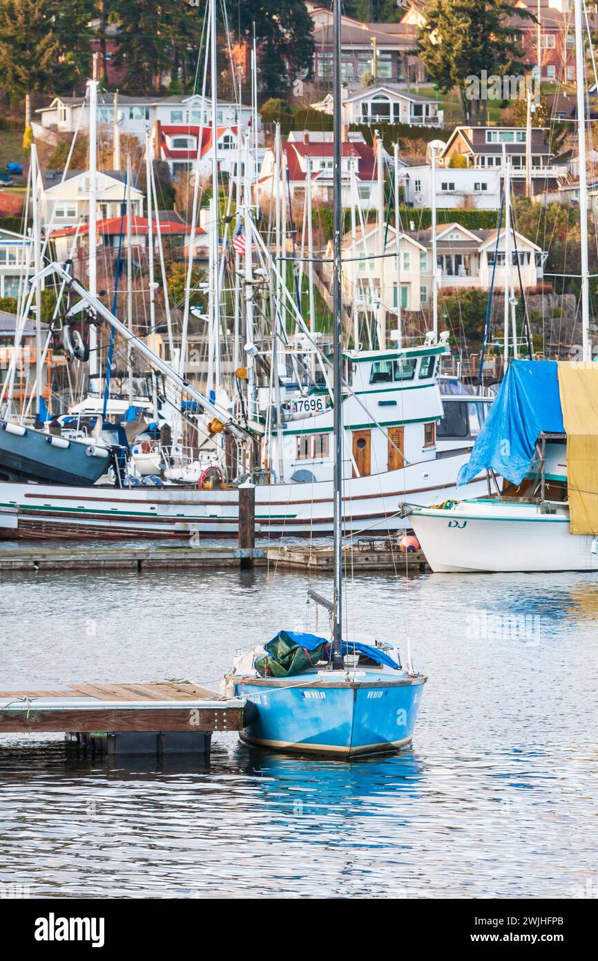 Ein kleines blaues Segelboot, das an einem Dock mit Booten und Häusern im Hintergrund befestigt ist, in Gig Harbor, Washington, USA, einer kleinen Stadt, die bei Bootstouren beliebt ist. Stockfoto