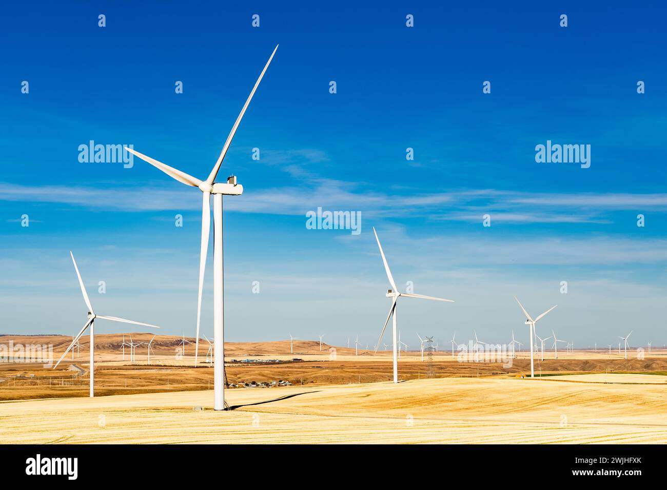 Hohe Windmühlen mit Blick auf Farmfelder, die grüne Energie im Westen Kanadas erzeugen Stockfoto