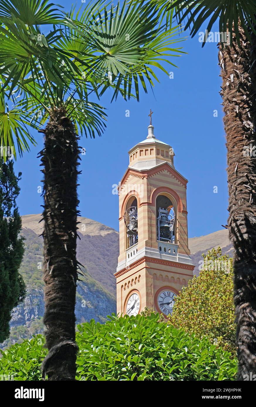 Kirche San Lorenzo, Fächerpalmen, Tremezzo, Comer See, Lombardei, Italien Stockfoto