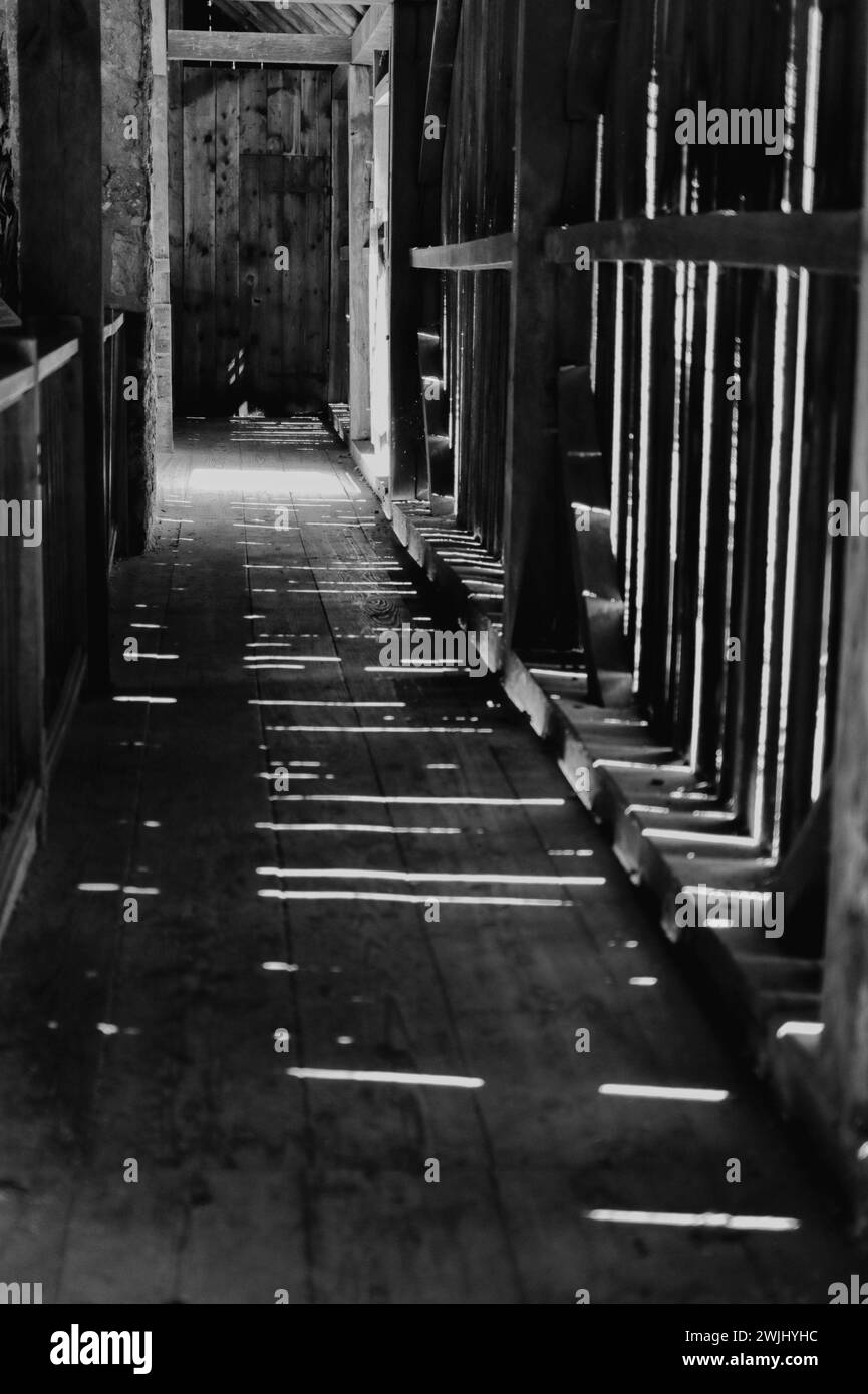 Im Inneren der Scheune mit Sonnenlicht, das durch die Holzwand strahlt, wirft helle Schatten auf den Boden. Stockfoto