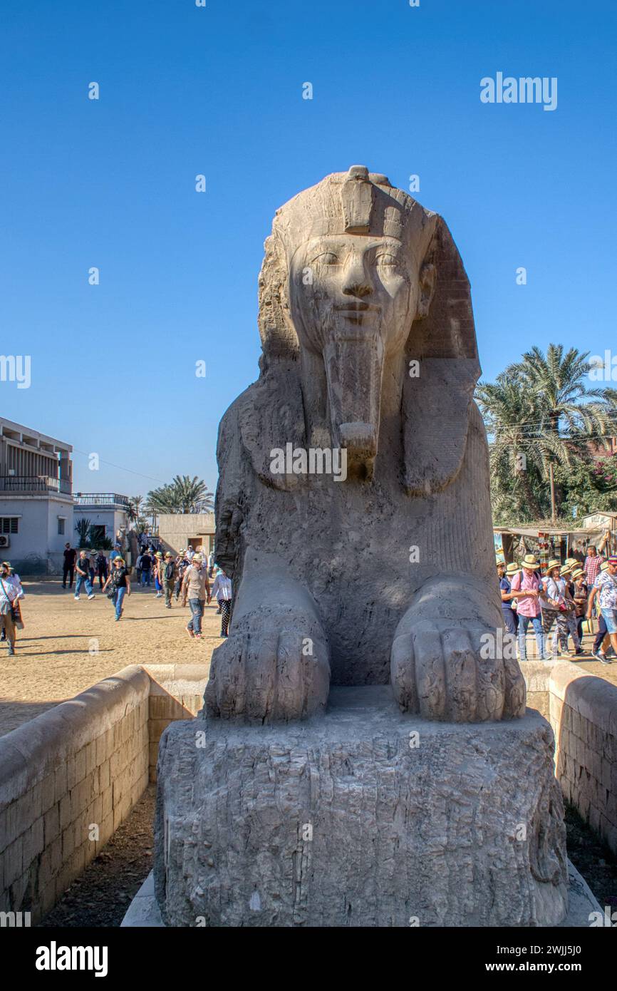 Memphis, Ägypten: 19. November 2022 – die Alabaster-Sphinx von Memphis (die Calcite-Sphinx), Ägypten Stockfoto