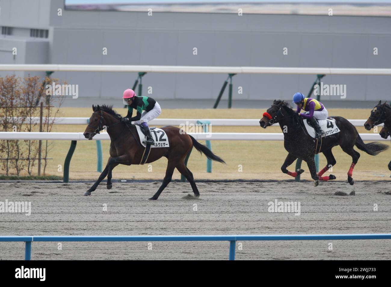 2024/02/10 KYOTO 06R Bellwether/Yutaka nehmen am 10. Februar 2024 die Jockey Kyoto Racecourse in Kyoto, Japan. Quelle: Eiichi Yamane/AFLO/Alamy Live News Stockfoto