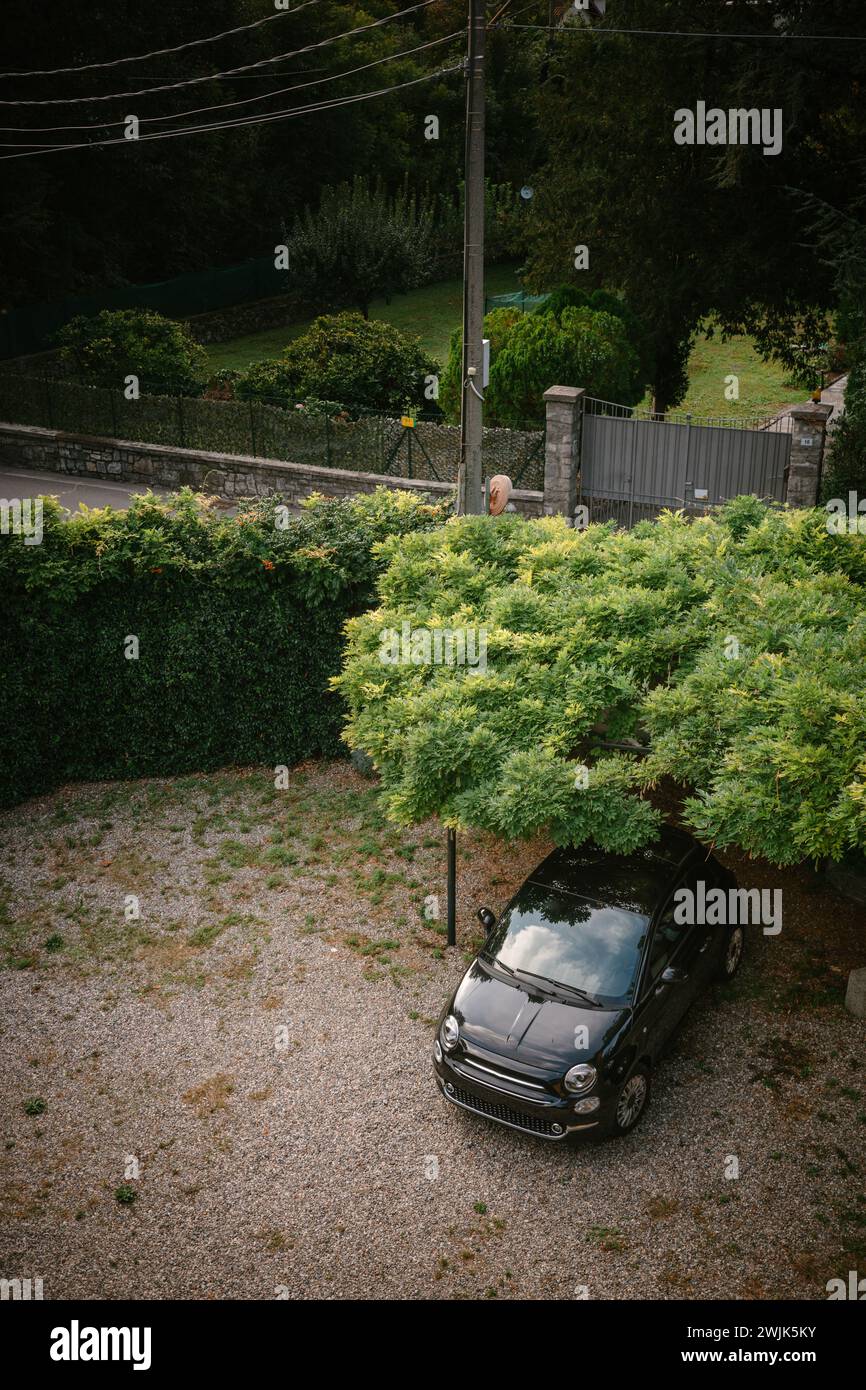 Ein kompaktes schwarzes Fahrzeug, das unter einem Laubbaum im Hinterhof in Italien geparkt wurde Stockfoto