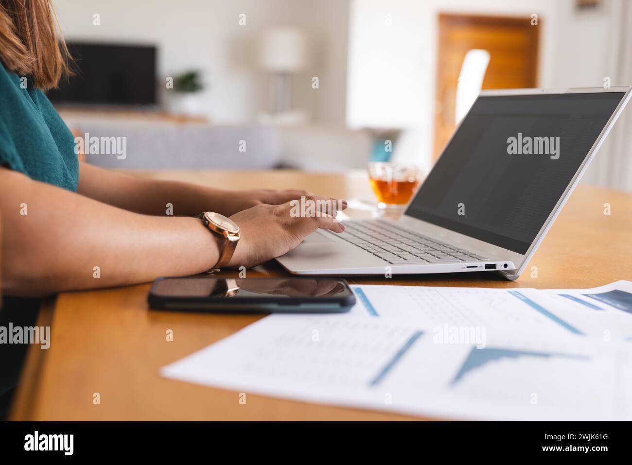 Die junge Frau arbeitet zu Hause an ihrem Laptop Stockfoto