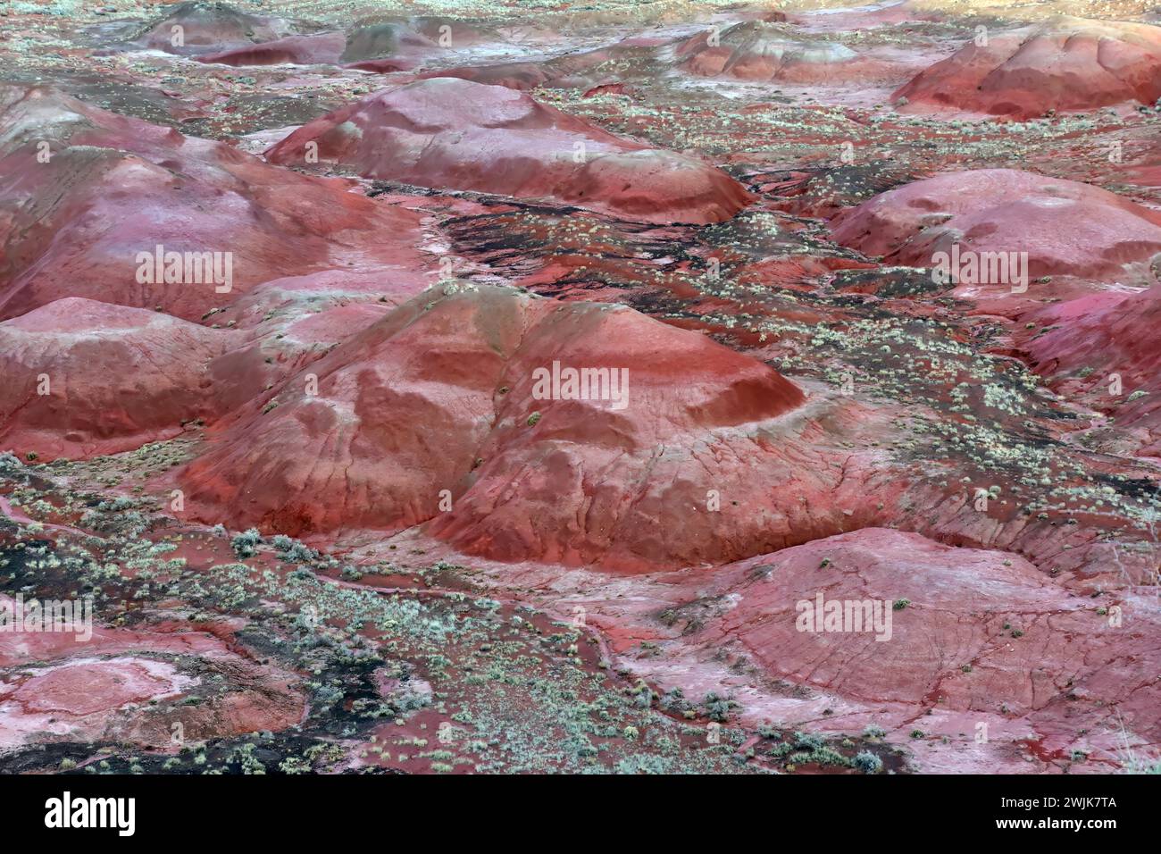 An einem Wintertag am späten Nachmittag im Nordosten arizonas blicken Sie auf die bunten Badlands des Painted Desert National Park in der Nähe von holbrook Stockfoto