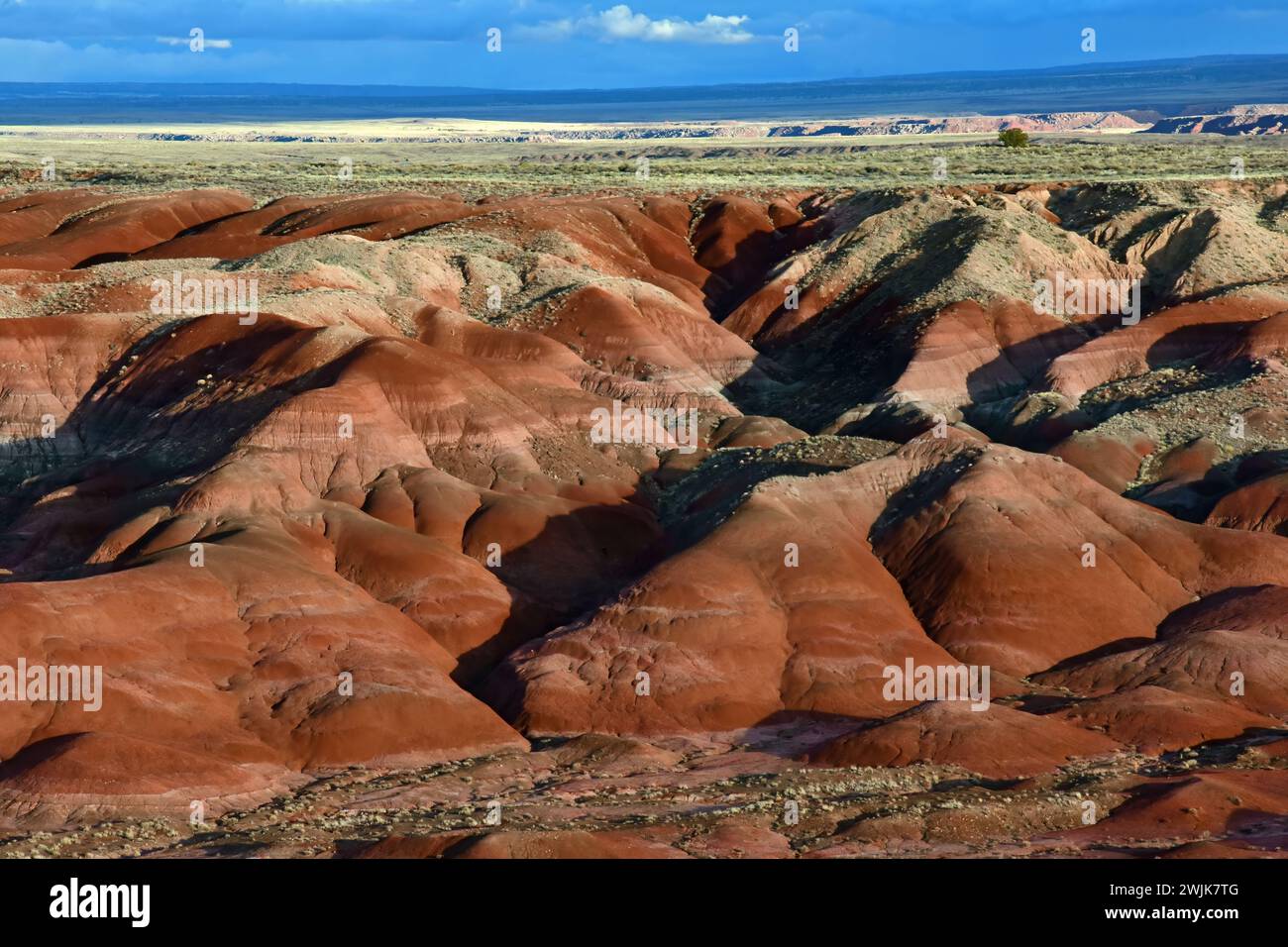 An einem sonnigen Wintertag im Nordosten arizonas blicken Sie auf die bunten Badlands des Painted Desert National Park in der Nähe von holbrook Stockfoto
