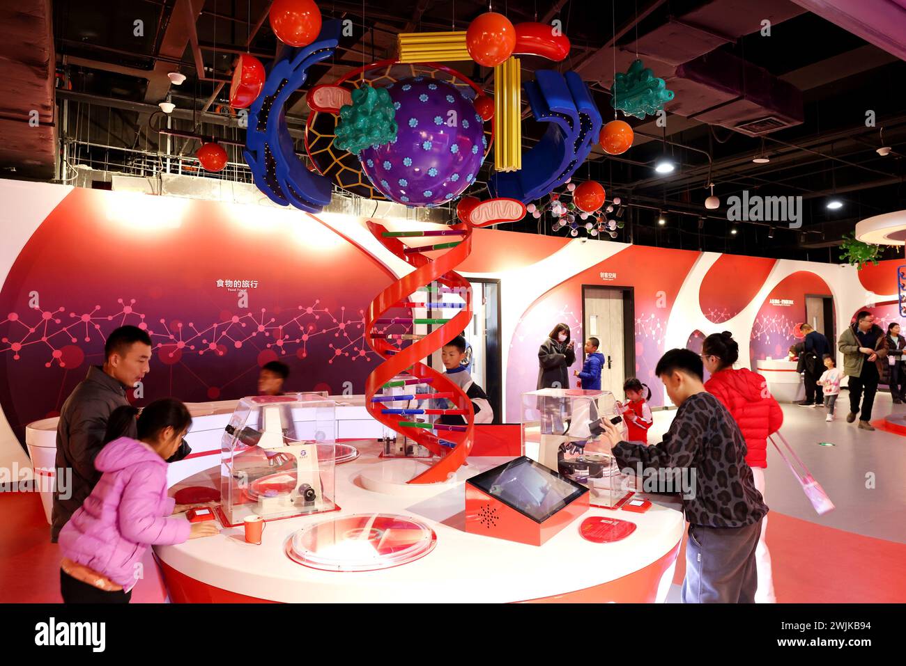 ZAOZHUANG, CHINA - 16. FEBRUAR 2024 - Kinder, begleitet von ihren Familien, beobachten das Geheimnis des „Lebens“ im Wissenschafts- und Technikmuseum in Za Stockfoto