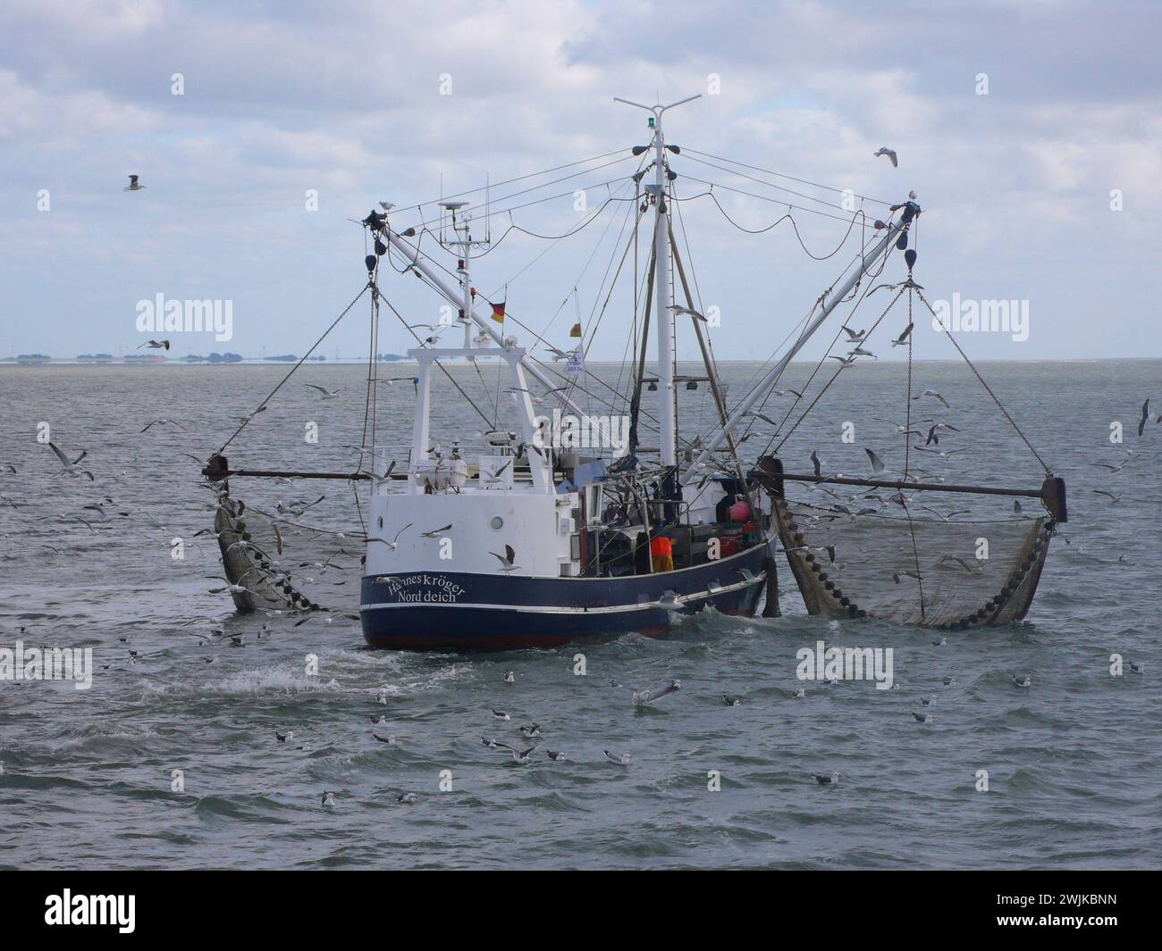 Eine ruhige Ozeanszene mit einem Boot, das inmitten einer Vogelschar segelt Stockfoto