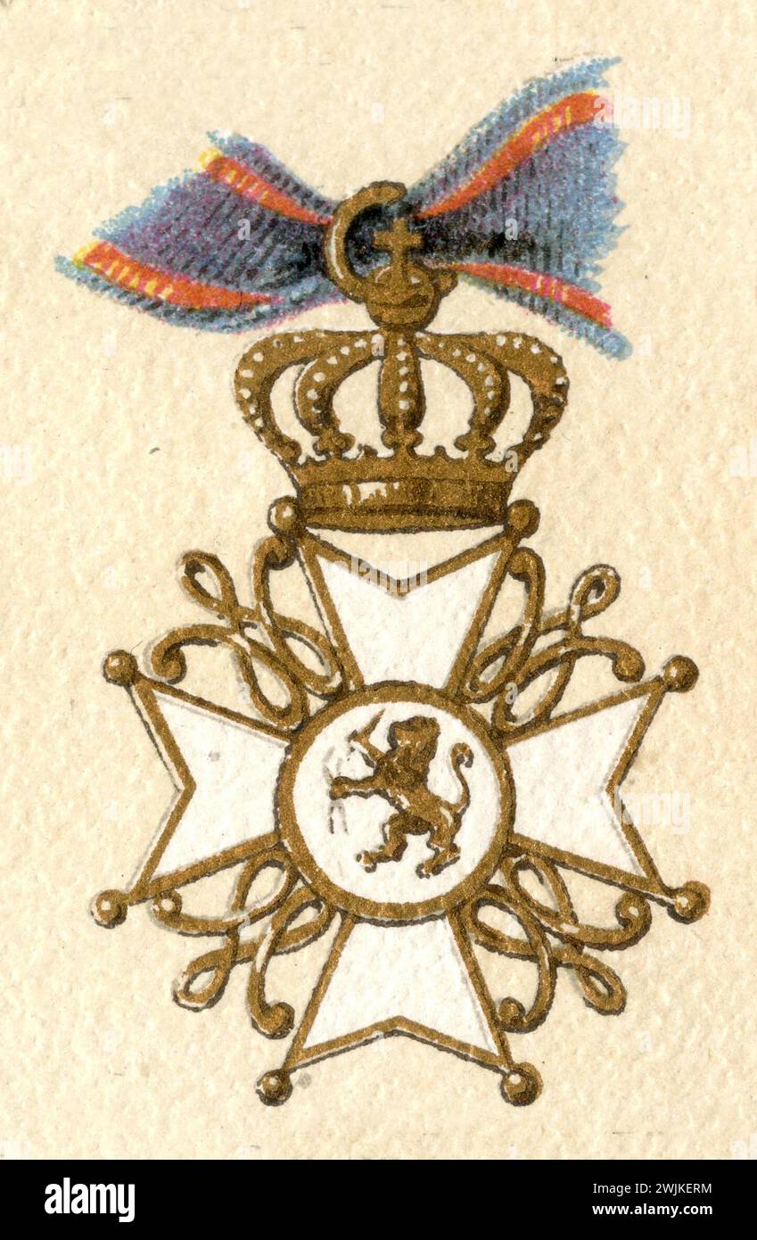 Orden des Niederländischen Löwen (Enzyklopädie, 1888), Orden des Niederländischen Löwen Stockfoto