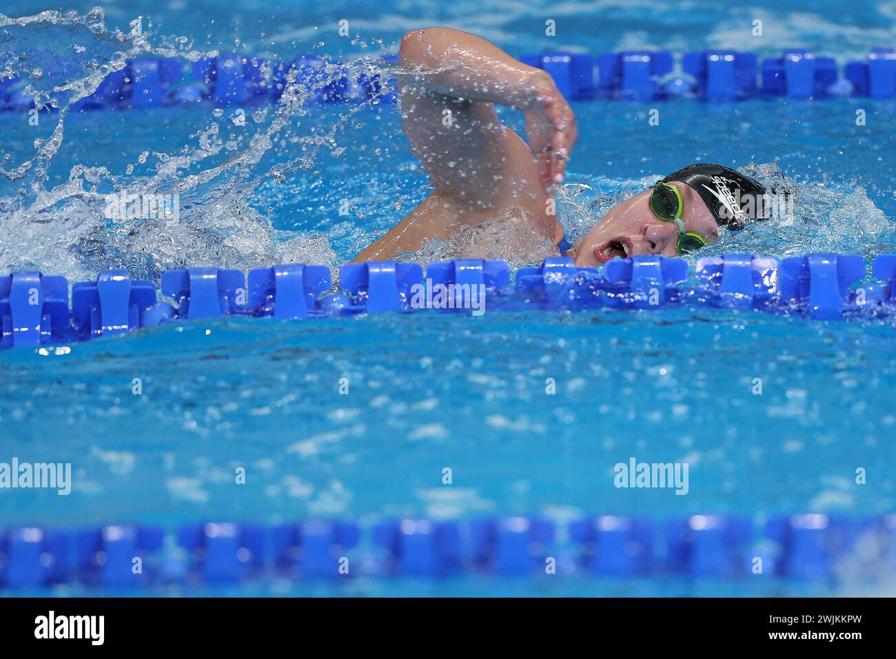 Doha, Katar. Februar 2024. Der belgische Alisee Pisane wurde am Freitag, den 16. Februar 2024, in Aktion während der 800-m-Freistil-Weltmeisterschaft der Frauen bei der Schwimmweltmeisterschaft in Doha, Katar, gezeigt. BELGA FOTO NIKOLA KRSTIC Credit: Belga Nachrichtenagentur/Alamy Live News Stockfoto