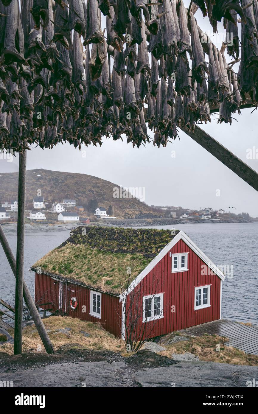 Getrocknete Fische hängen auf Struktur mit Hütte im Hintergrund in der Nähe von Meer Stockfoto