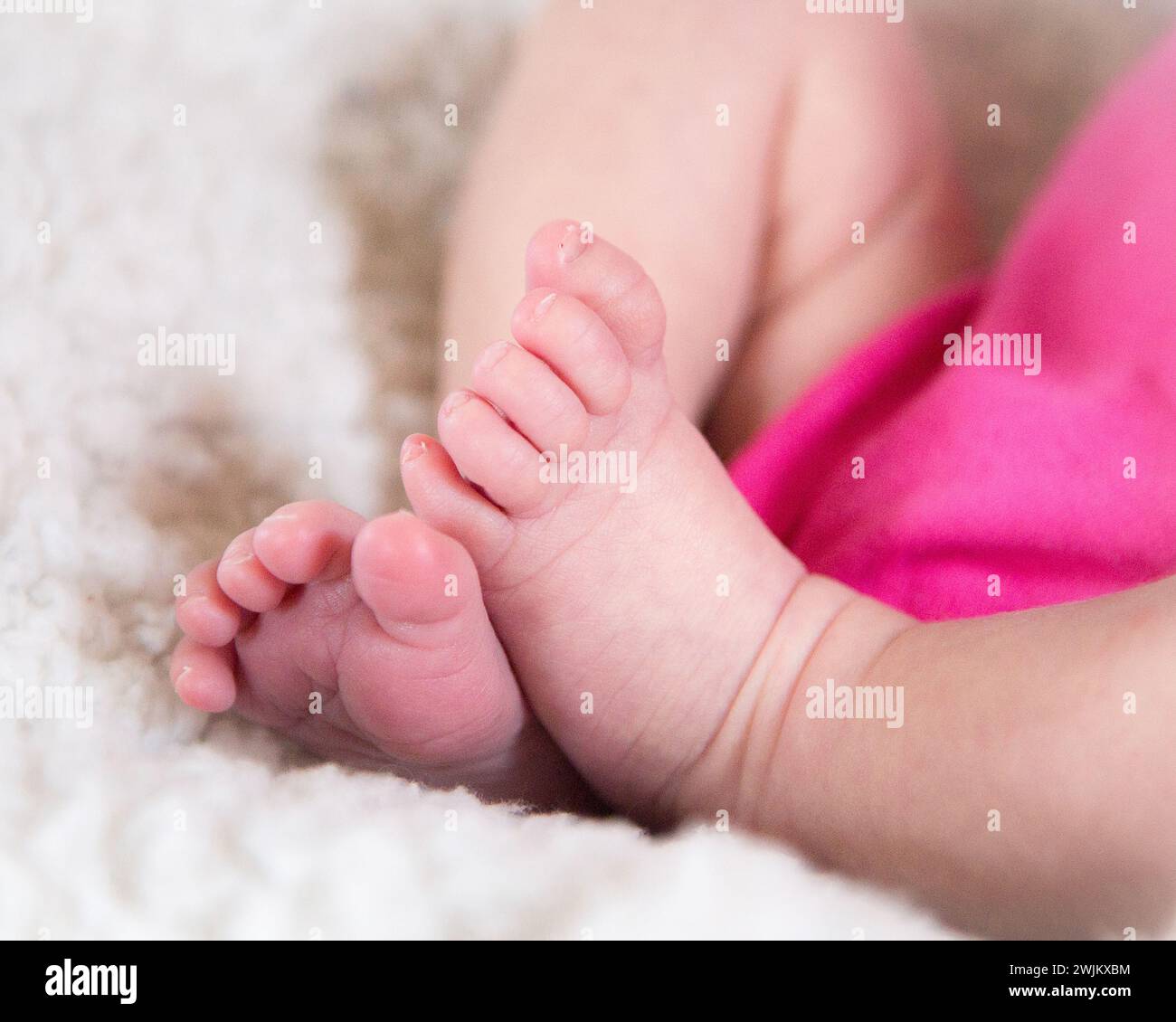 Zoom auf die Zehen des Neugeborenen Stockfoto
