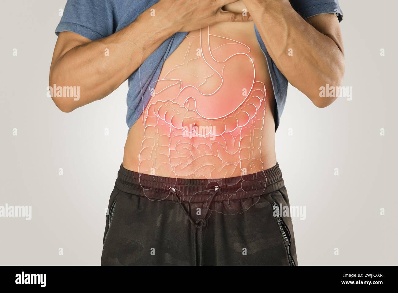 Innere Organabbildung am männlichen Körper vor hellgrauem Hintergrund. Leber, Magen, Dünndarm, Dickdarm, Dünndarm. Stockfoto