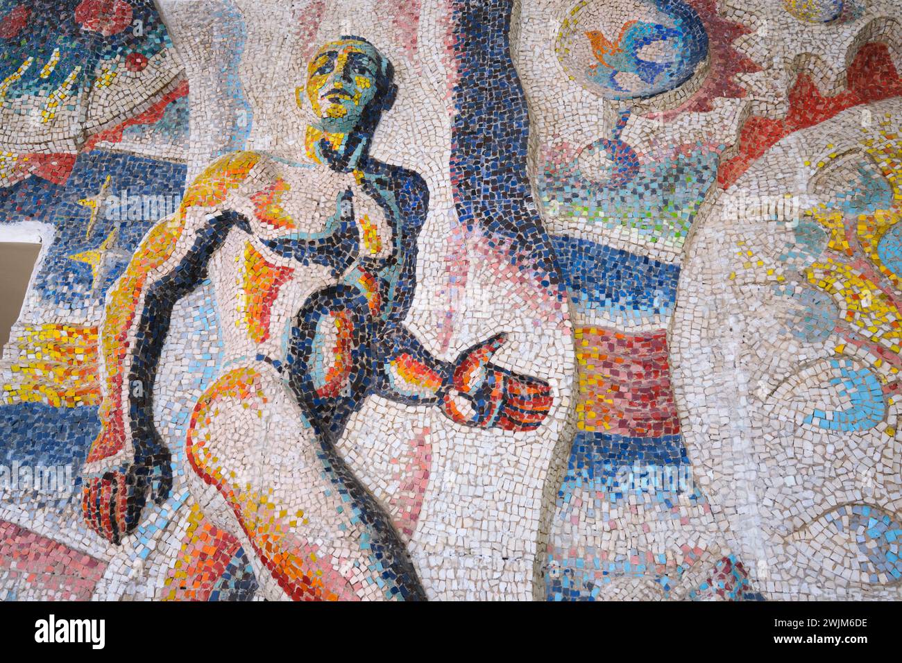 Der Vordereingang des Museums hat ein großes Mosaik, Fliesen Wandgemälde mit einem Evolutionsthema. Details eines körperlichen, muskulösen, modernen Mannes. An der biologischen Mus Stockfoto