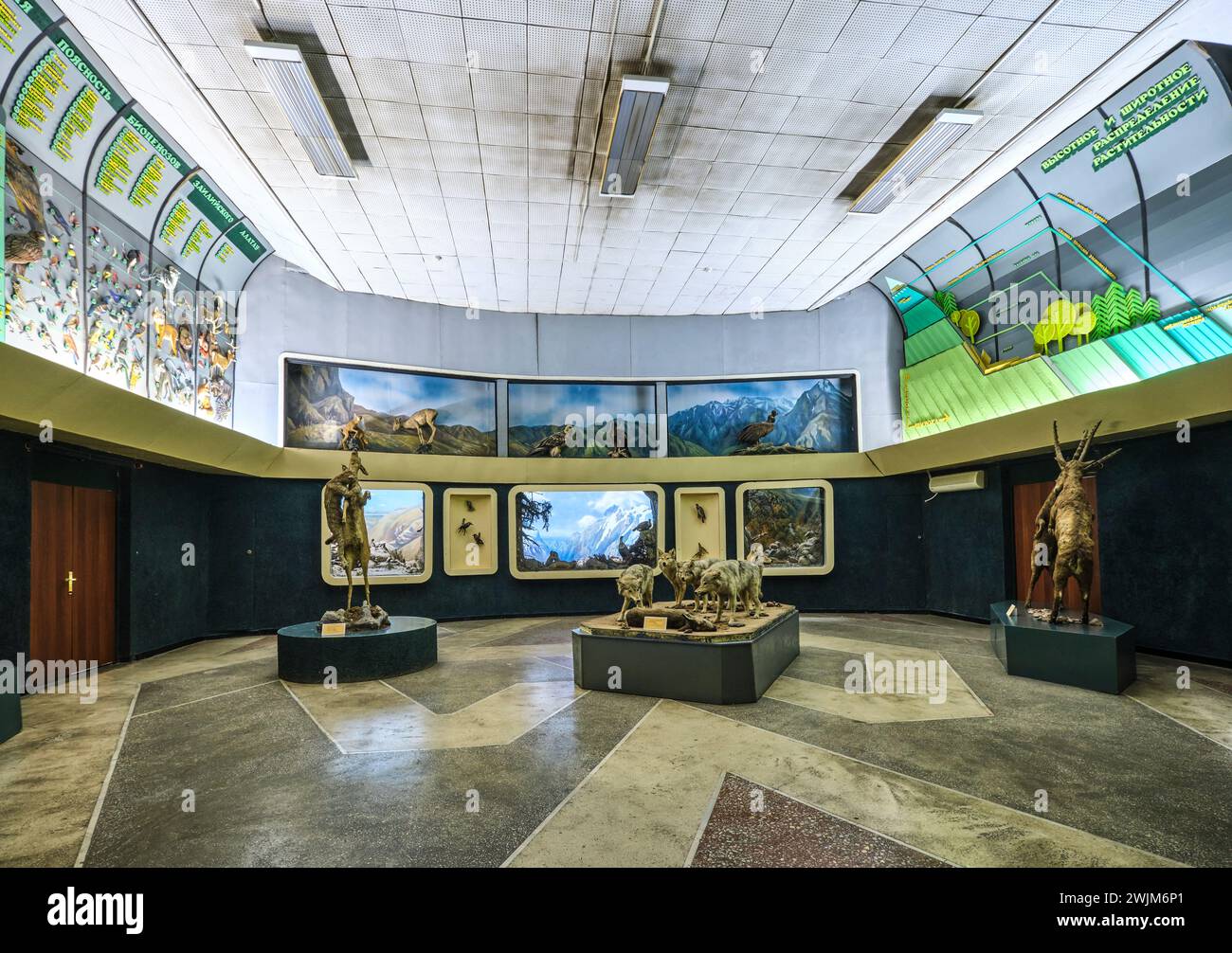 Ein Überblick über die Galerie, Ausstellung, Ausstellungsraum mit verschiedenen Tierdioramen. Im biologischen Museum auf dem Campus von Al-Farabi Kasachisch Natio Stockfoto
