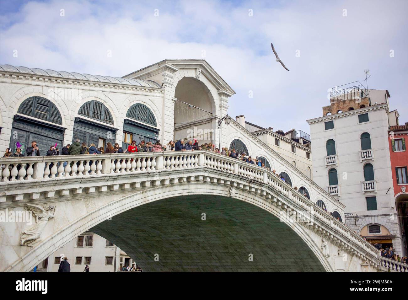 Italien, Venetien, Venedig 16.02.2024, Italien, ITA, Venetien, Venedig, im Bild Venedig, Stadtansichten, Touristen, Reisefeature, venezianisch, Reise, Venedig, Venedig, Venetien, Stadtansicht, Campanile, Canale Grande, Markusplatz, Markuskirche, Touristen, Gondel, Gondolere, Faehre, Motorboot, Wassertaxi, Vaporetto, Adria, Lagune, Pfahlbauten, Bruecke, Rialtobrücke, La Gondel, Dogenpalast, Italien, Hochwasser, Creativ, Kreativ Venetien *** Italien, Veneto, Venedig 16 02 2024, Italien, ITA, Veneto, Venedig, im Bild Venedig, Stadtansichten, Touristen, Reise-Feature, Venezianisch, reisen, Venedig, Venedig, Venedig, Stockfoto