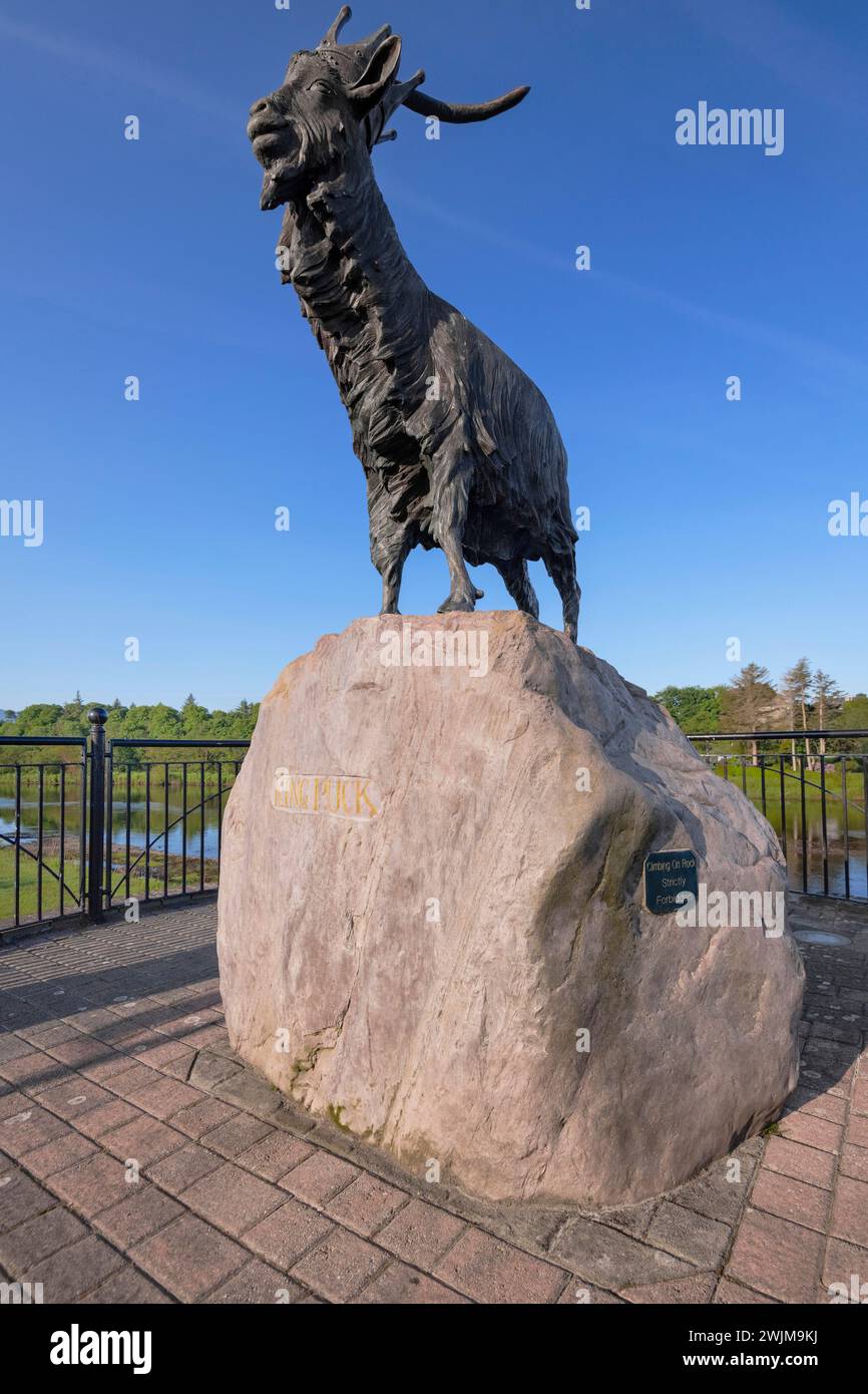 Irland, County Kerry, Killorglin, King Puck Statue, entworfen von Alan Ryan Hall 2001 zu Ehren des Puck Fair Festivals, das jeden August in der Stadt stattfindet. Stockfoto