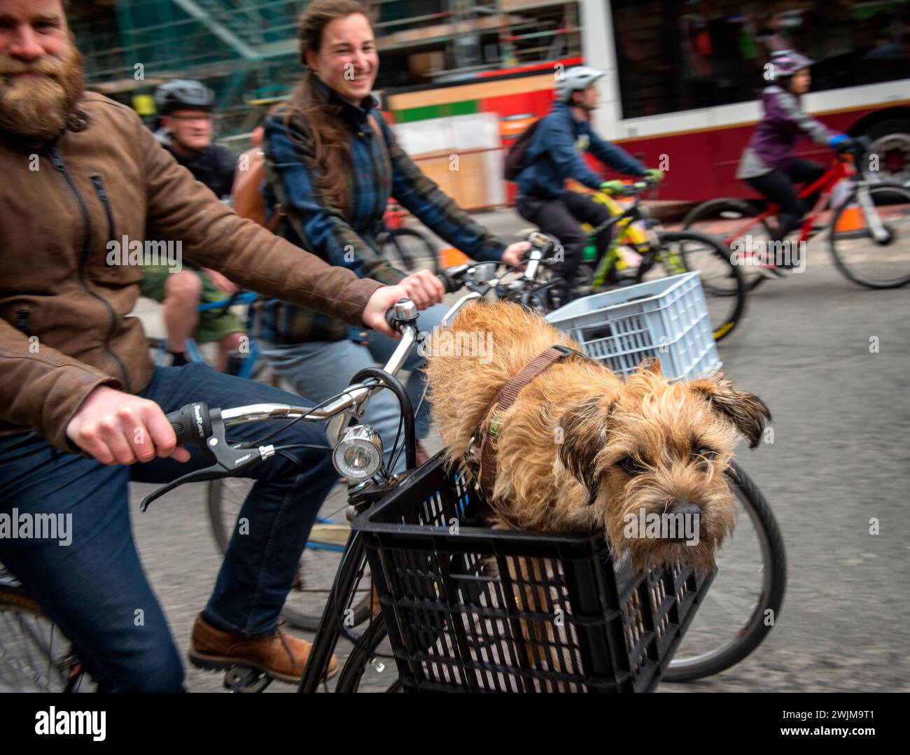 Ein Mann mit einem Hund in einem Korb seines Fahrrads radelt durch die Straßen von Edinburgh zum Parlament, um zu protestieren und für sicherere Straßen bei an zu demonstrieren Stockfoto